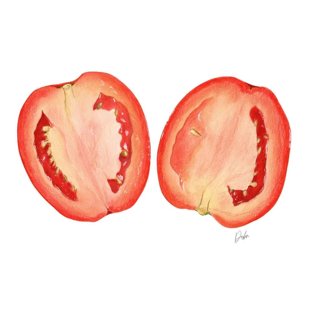 Cut Tomato Illustrayion