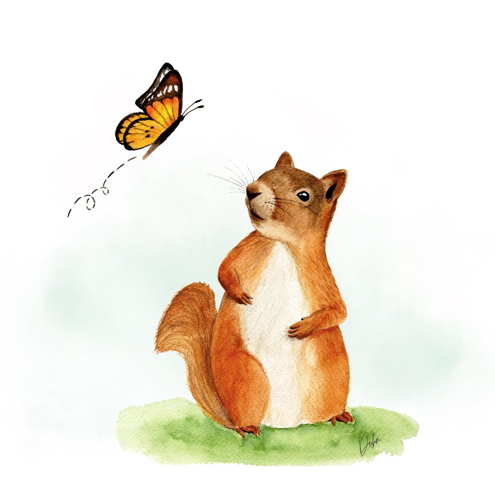 Squirrel and a butterfly