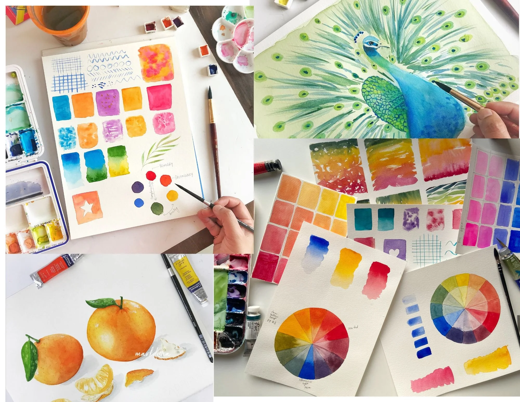 Watercolour Foundations and Beyond
