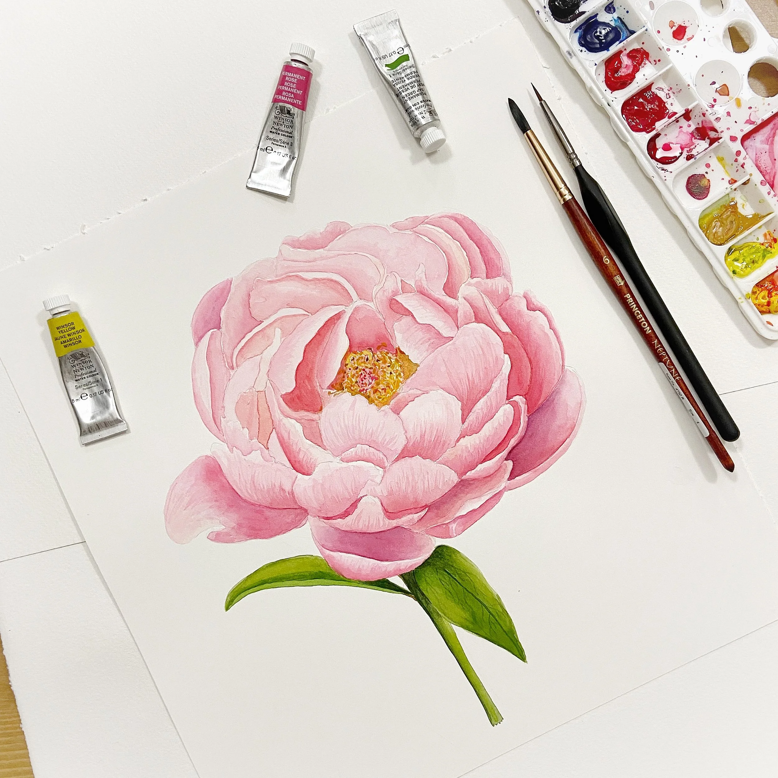 Realistic Botanicals in Watercolour
