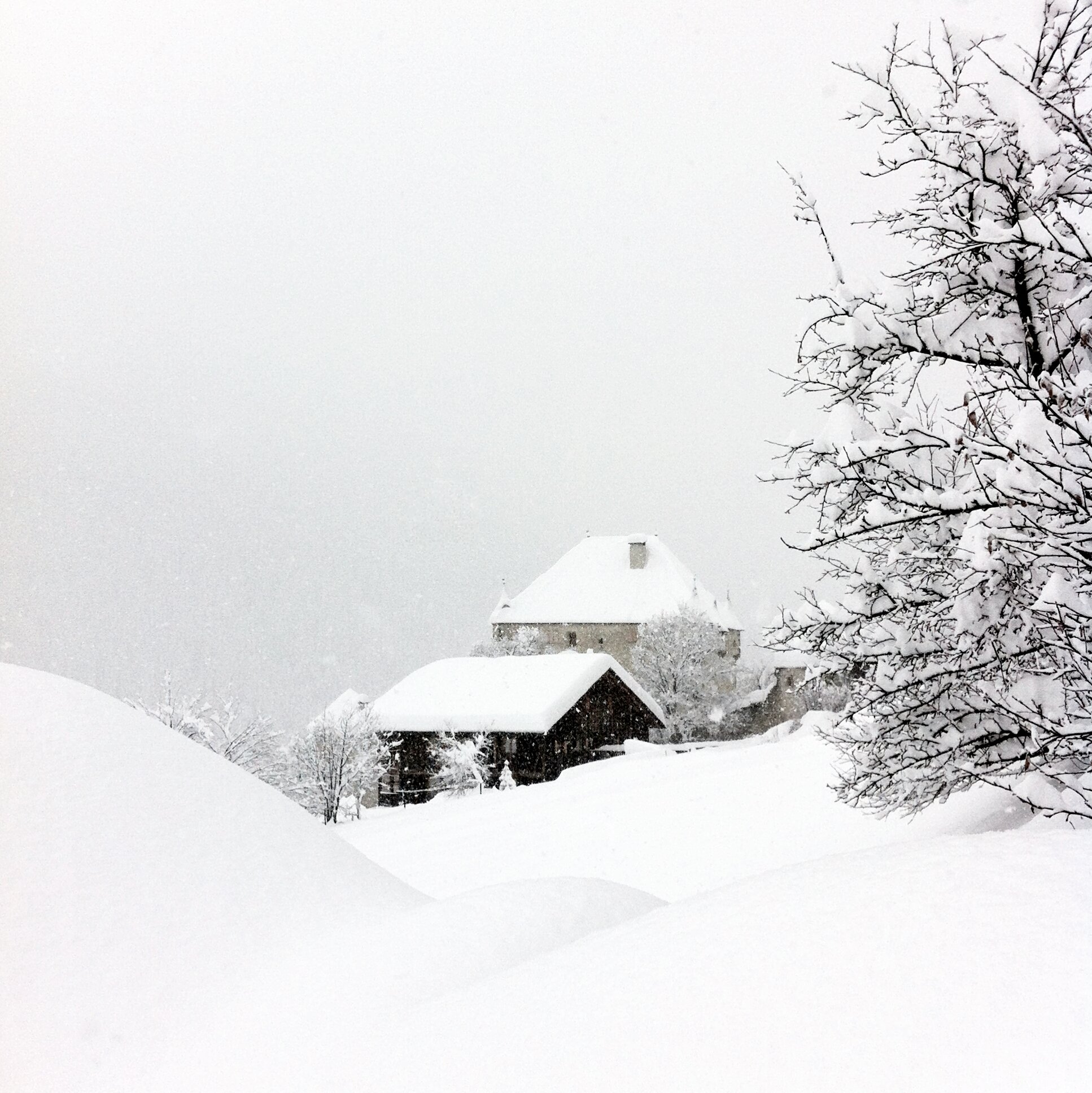 2014-01-31 09.21.06_20140131144824329.jpg