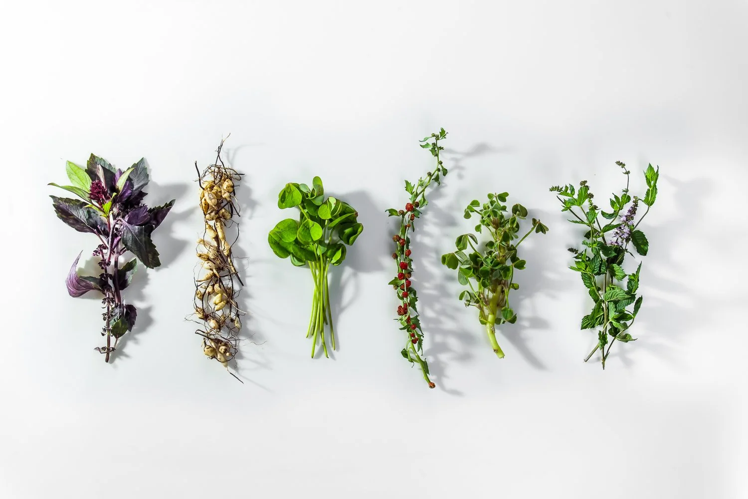 Restaurant und Food Fotografie in München, Bayern, Deutschland, Daniel Töchterle,