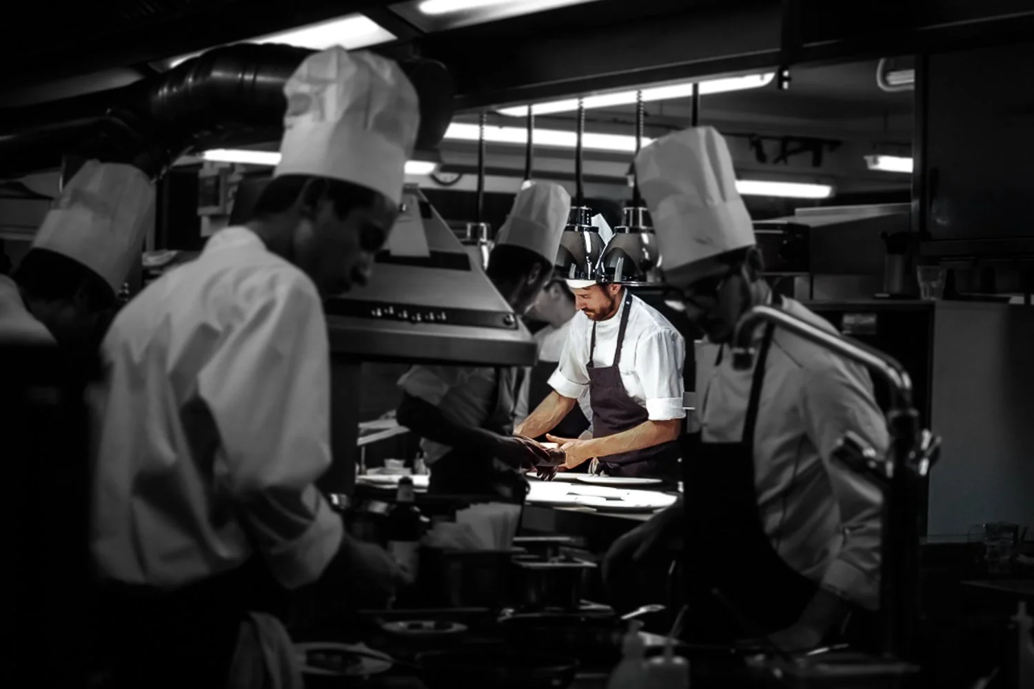 C&B_SITO (52 di 100).jpg