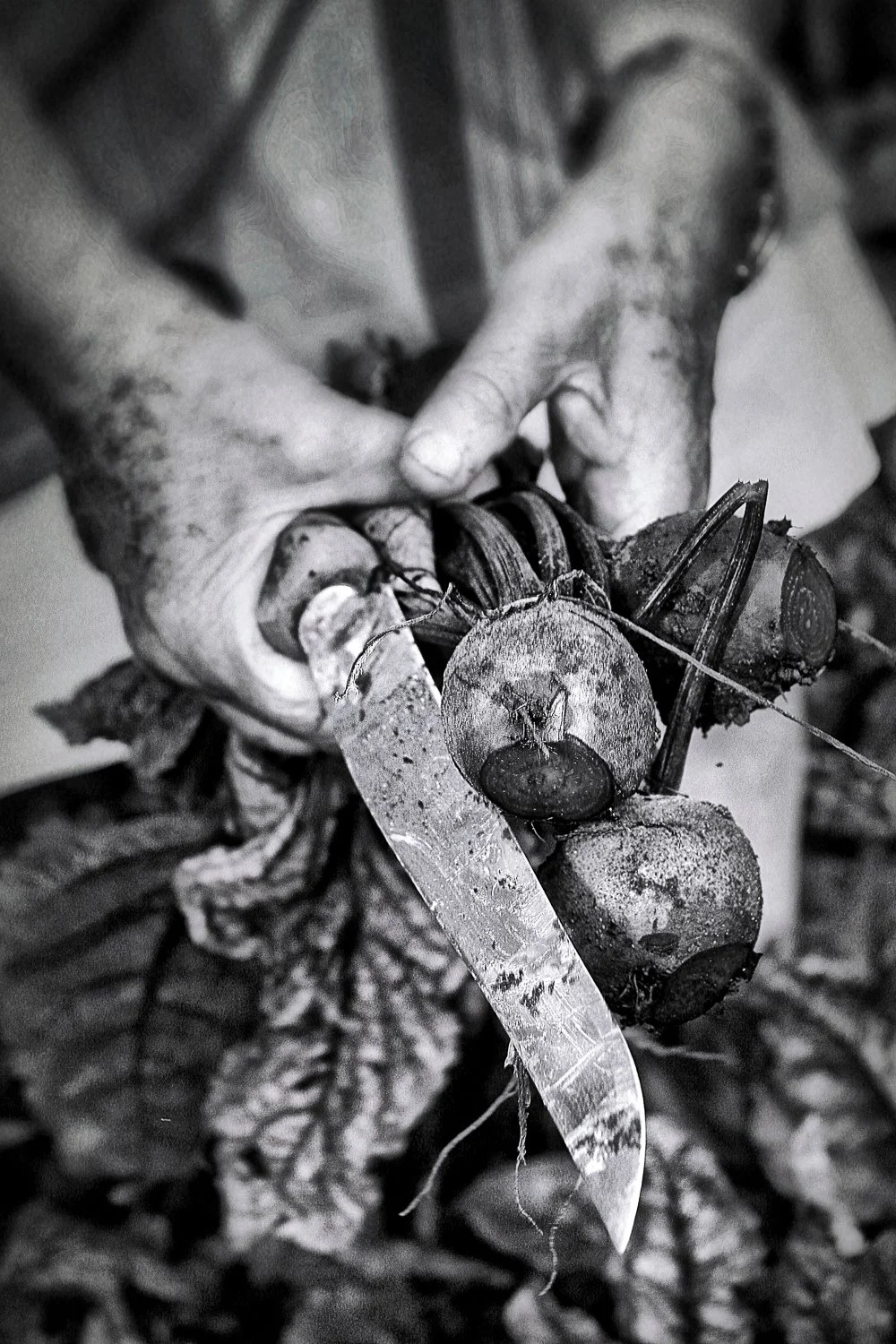 Restaurant und Food Fotografie in München, Bayern, Deutschland, Daniel Töchterle,