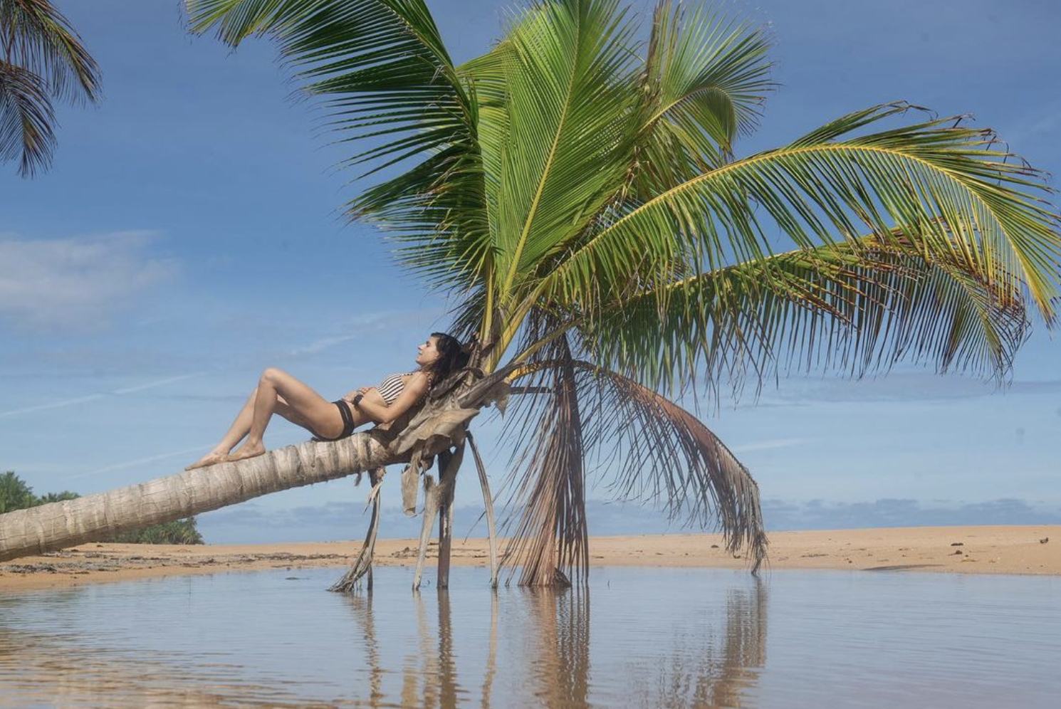 Screenshot 2023-08-19 at 2.21.46 PM.png