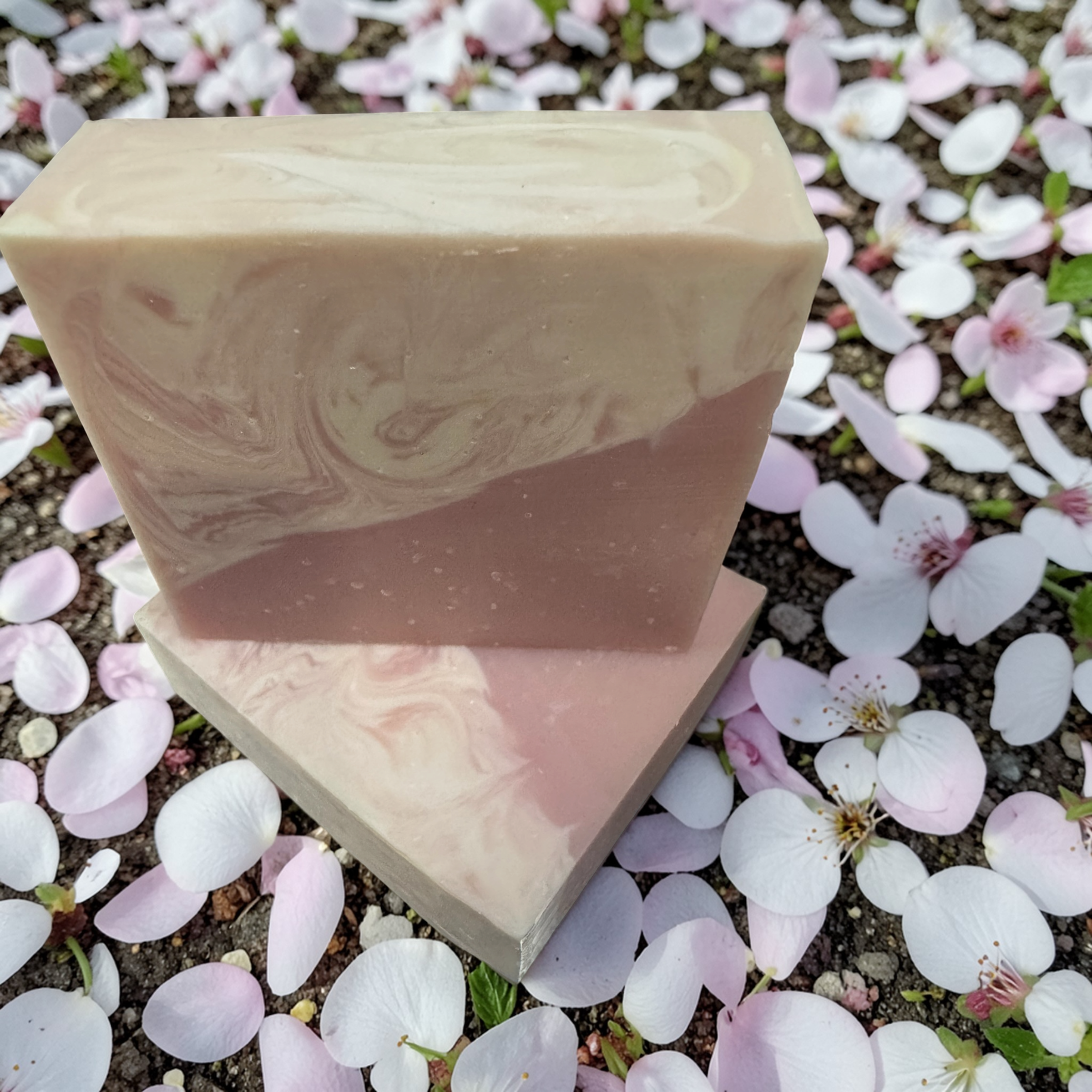 Photoroom_20260330_103956 (3).png