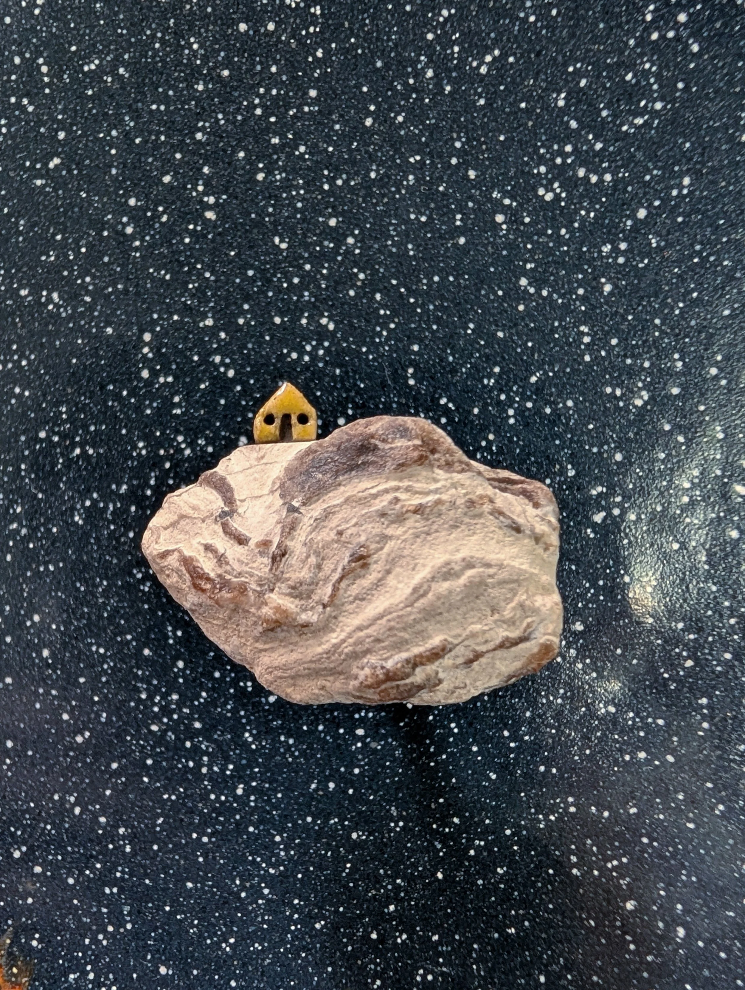 the vast of night (detail)