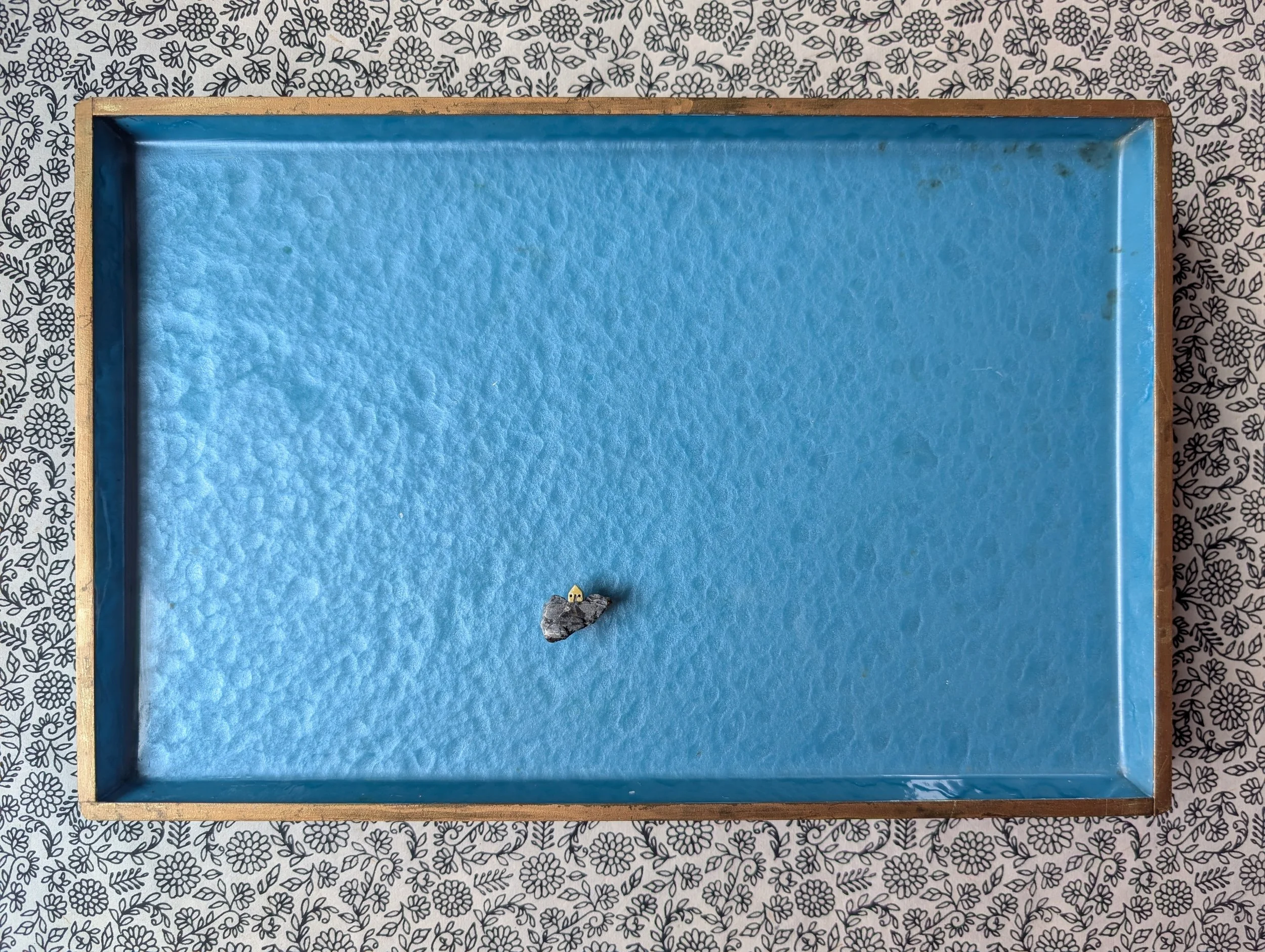 skimming the waves (13" x 8.75" x 1.75"