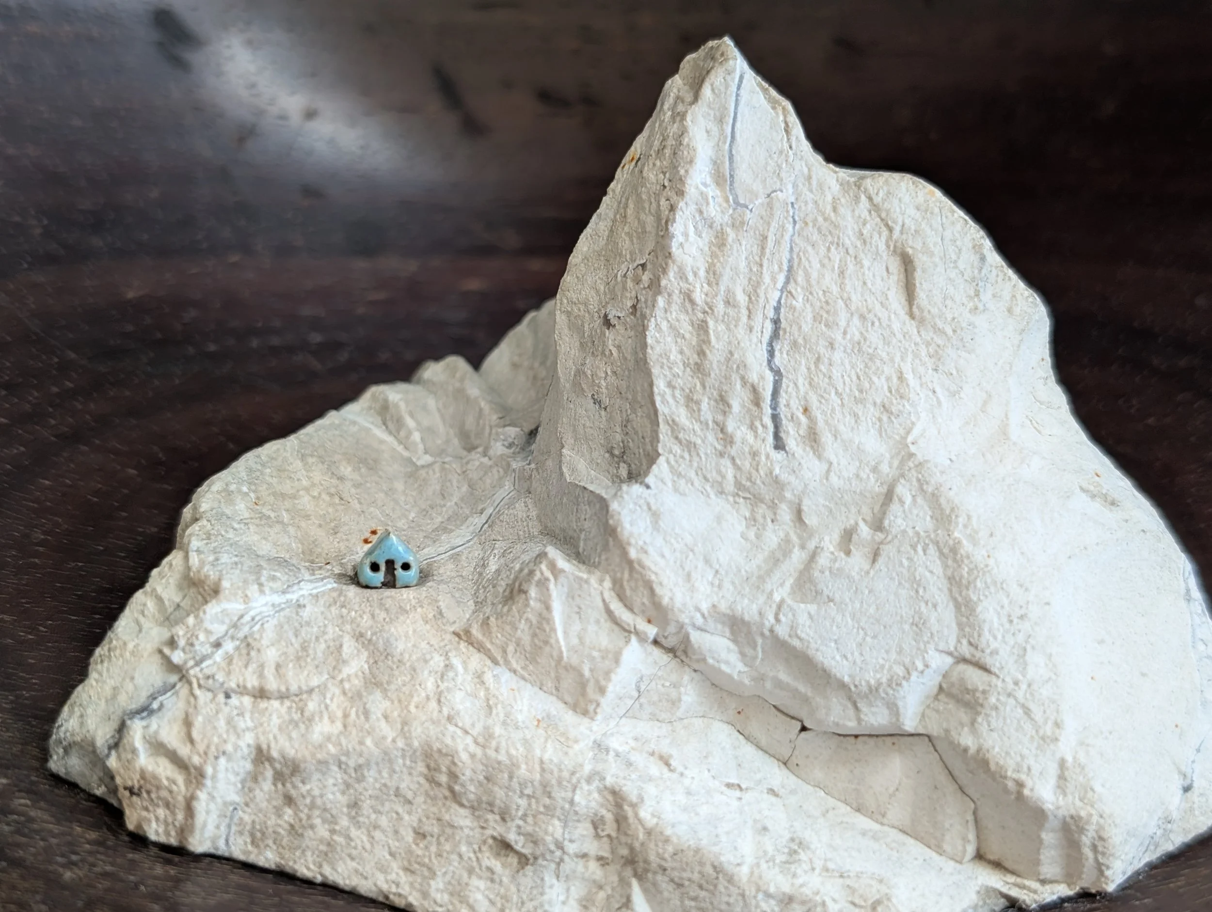 snowy mountain terrace (detail)