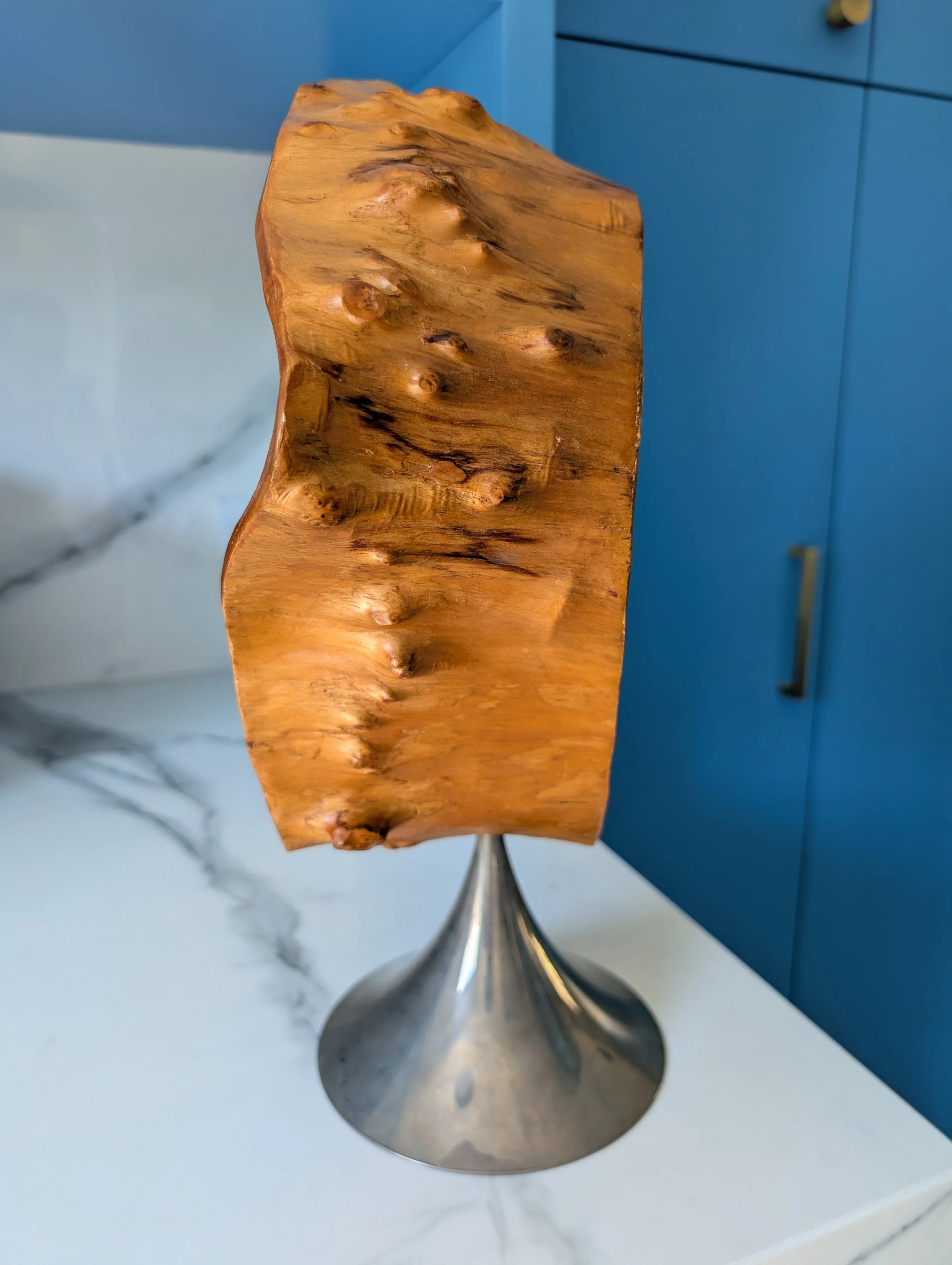 PXL_20260228_201955231.jpg