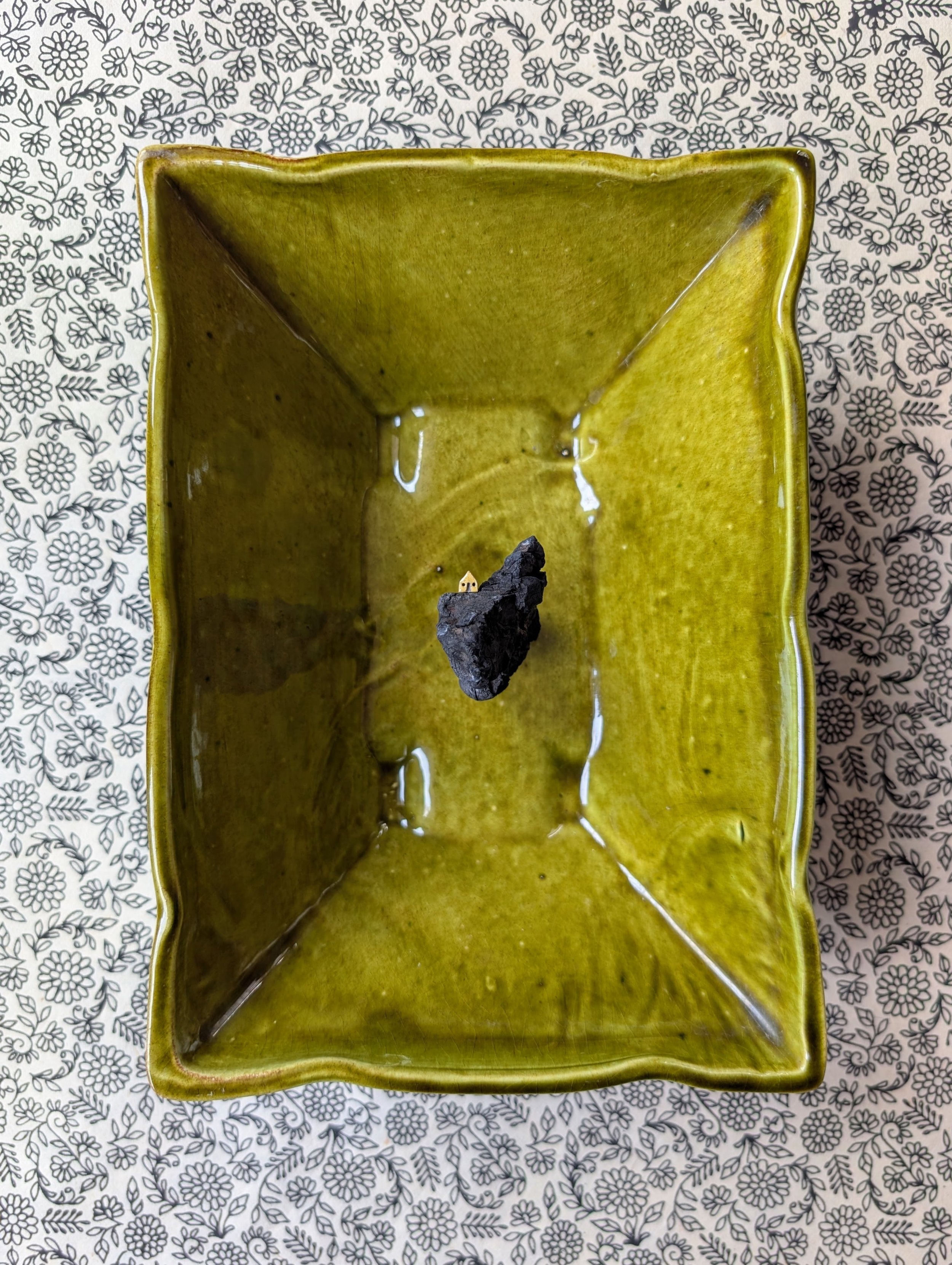 edge of the heavy woods (9" x 6" x 3")