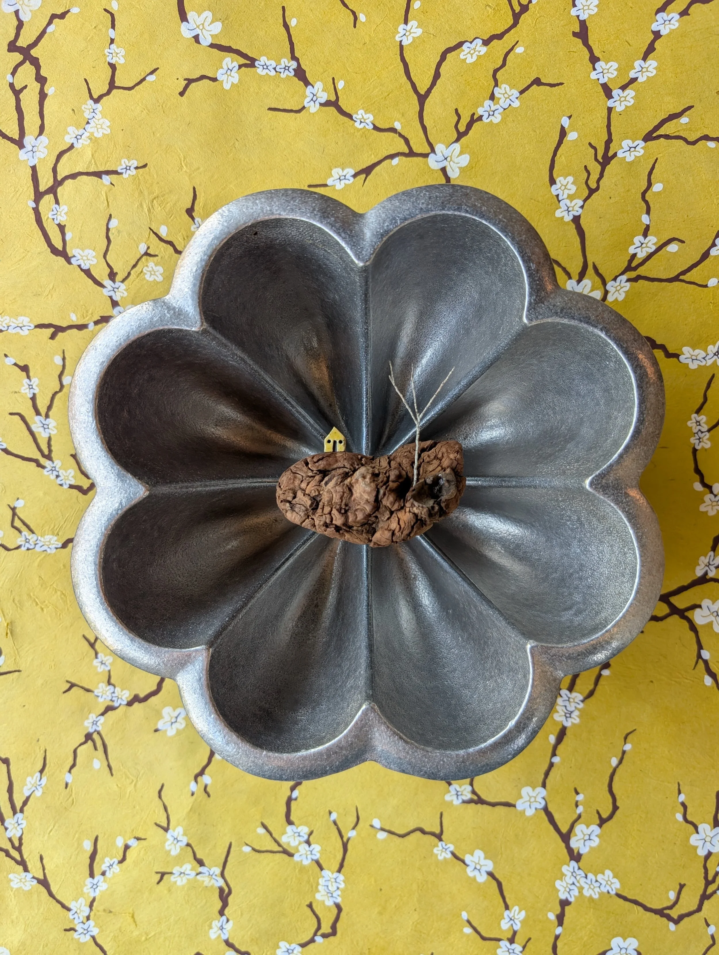 little landscape in pewter pod (9" x 9" x 3.5")