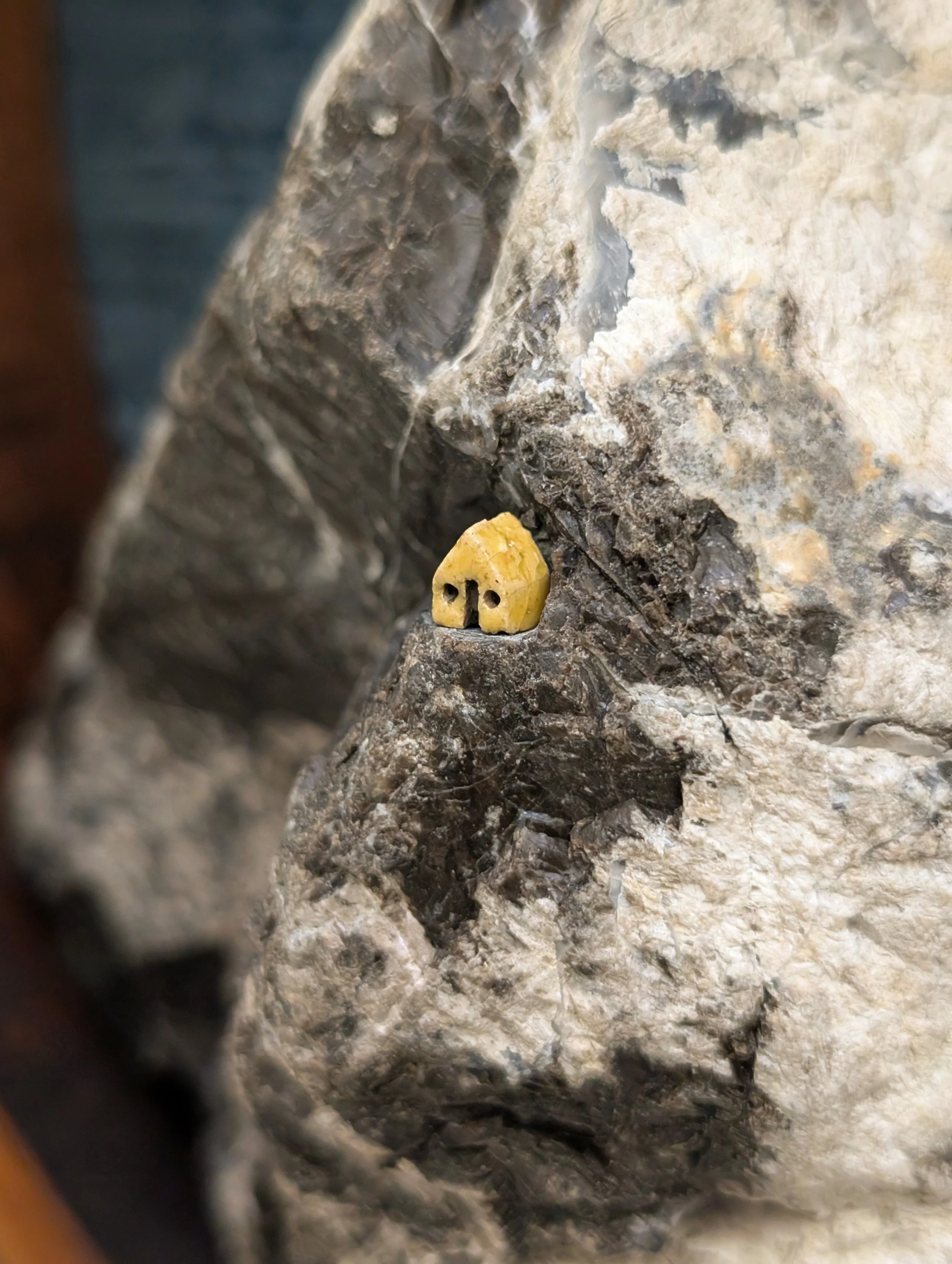 infinite summits of the night (detail)