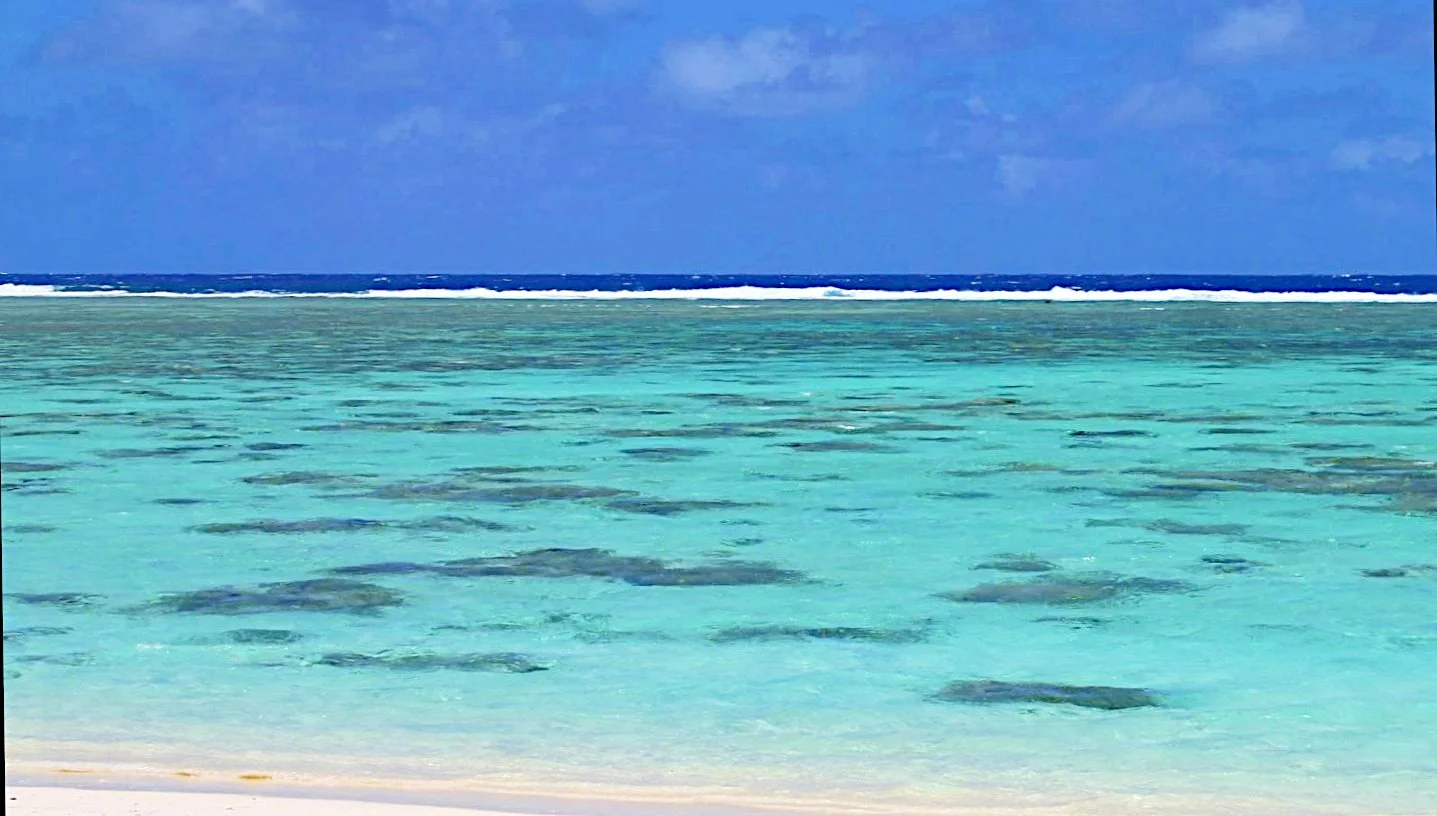 beach.jpg