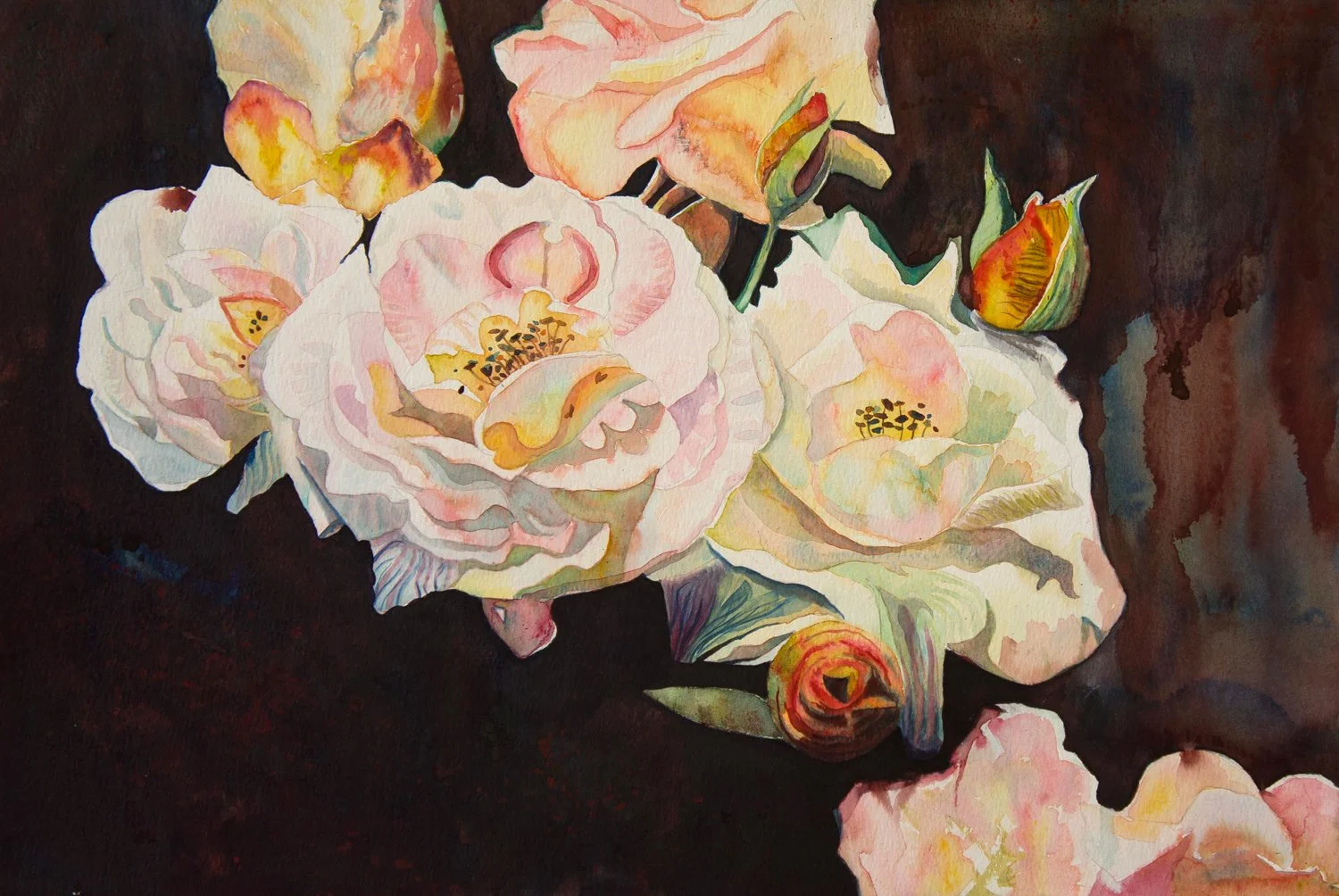 PINK ROSES / 2024 / WATERCOLOUR ON PAPER / US$2020.
This was my second attempt to capture the beauty of these roses. The first time I used  acrylic, this time watercolour. I worked and re-worked areas—this painting probably took a full week of work—t