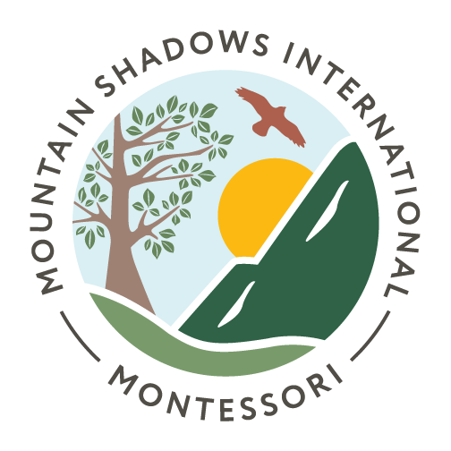 Mountain Shadows International Montessori School
