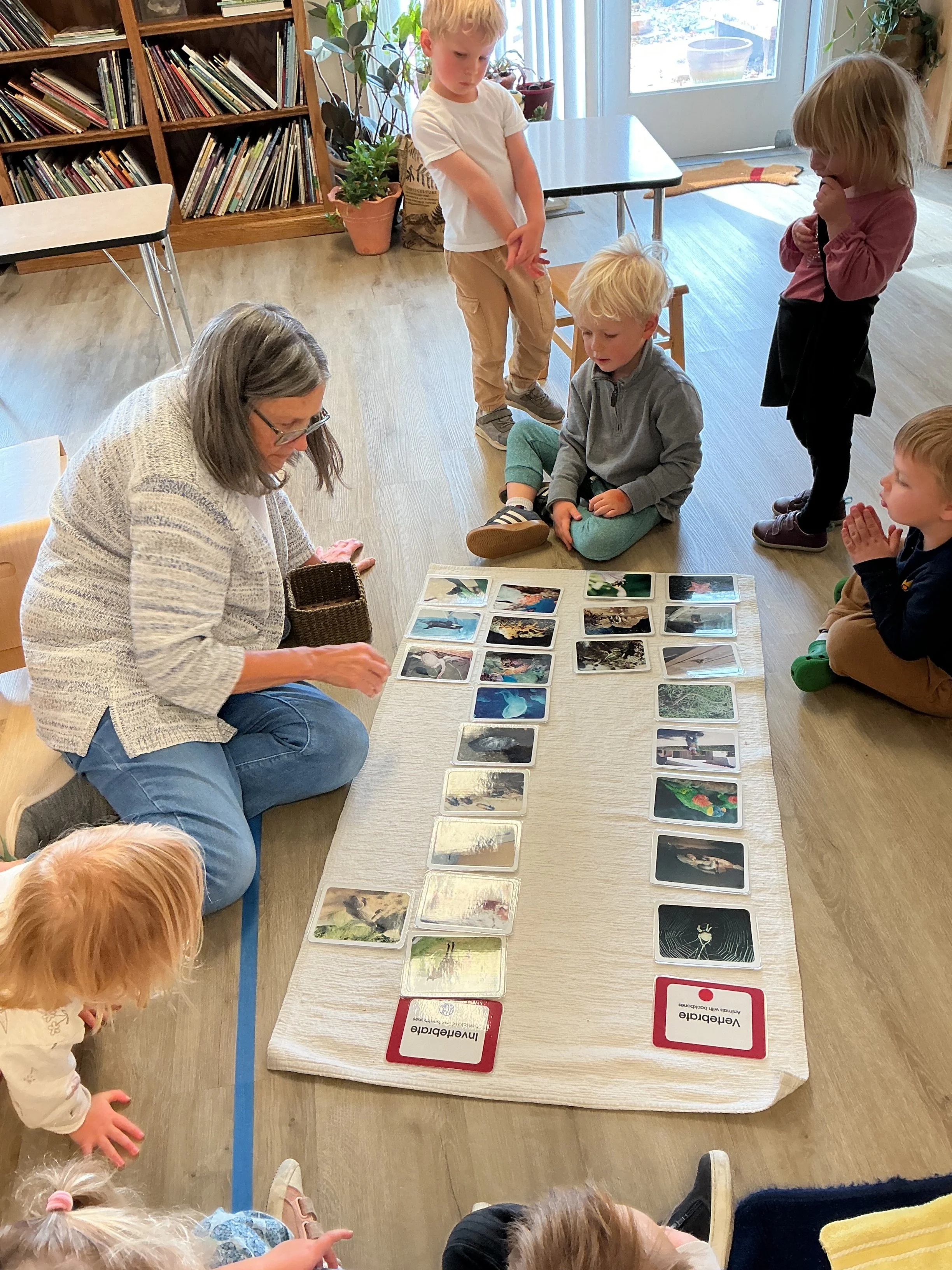 The Value of Montessori Vernacular