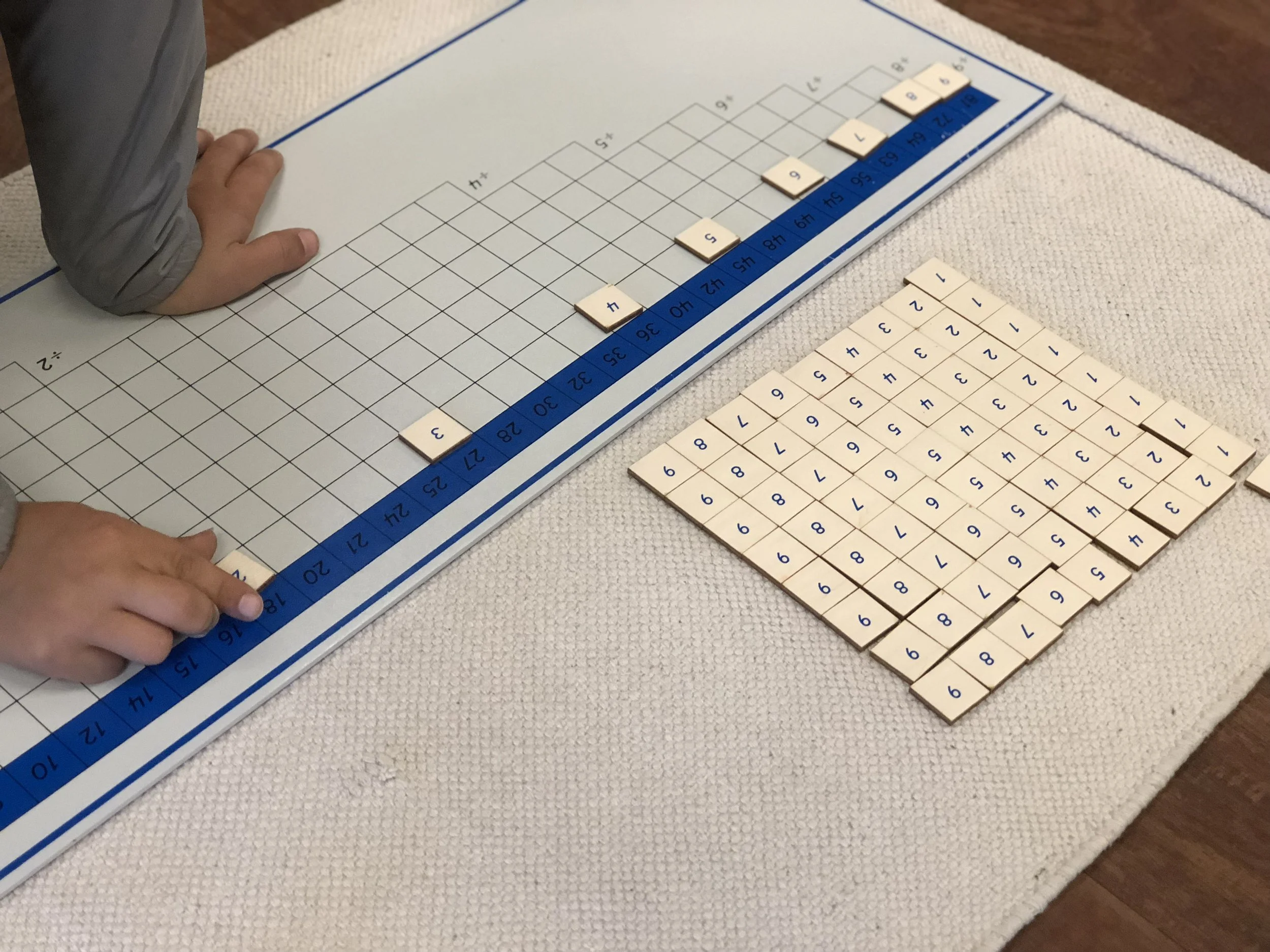 Memorization of Division 