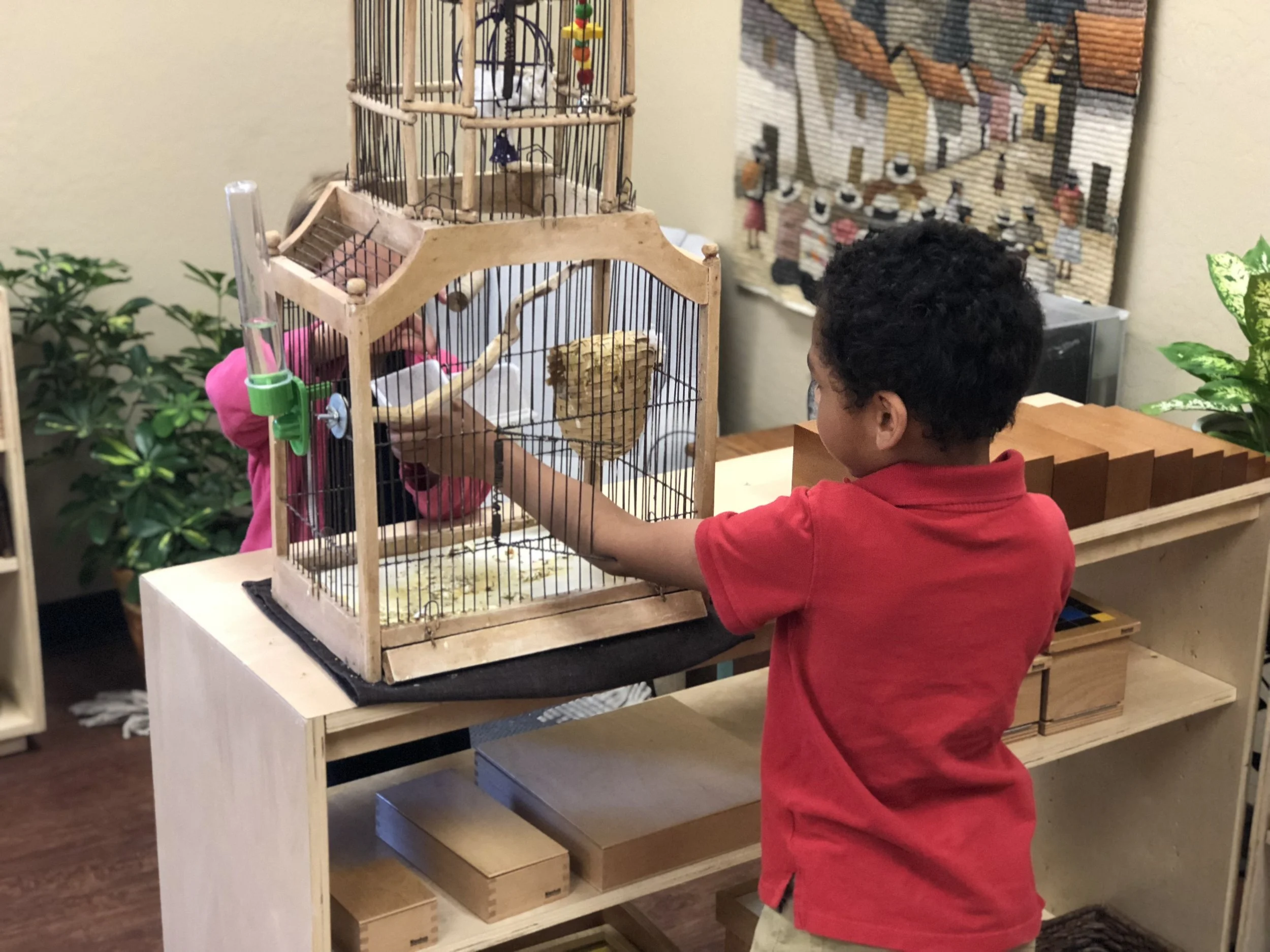 Caring for Class Pets 