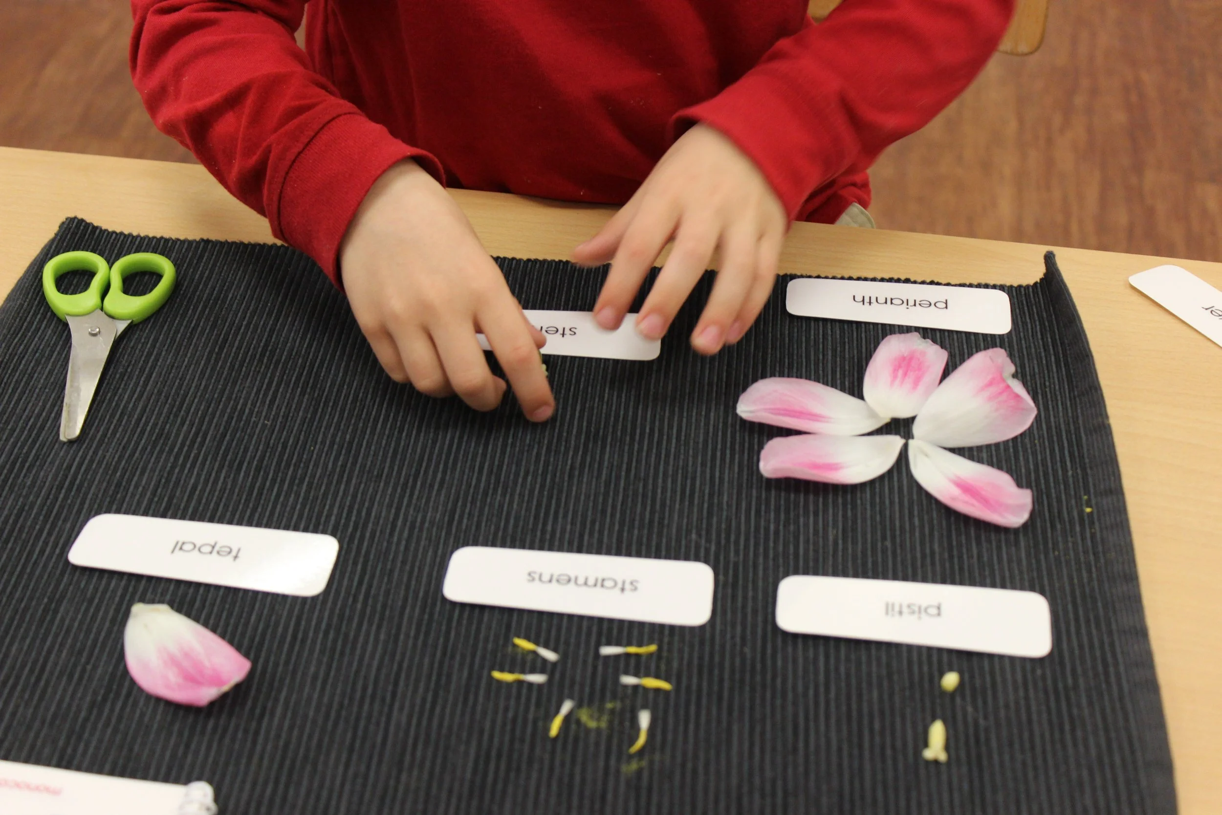 2016-04-04 18.42.37.jpeg