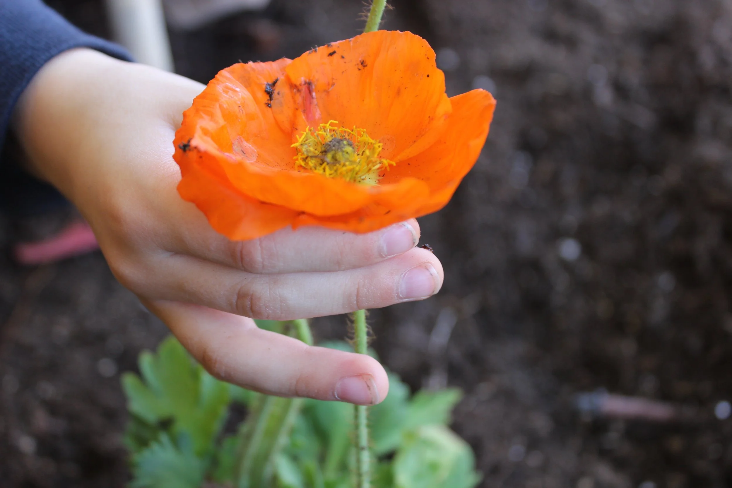 2016-02-21 21.19.18.jpeg