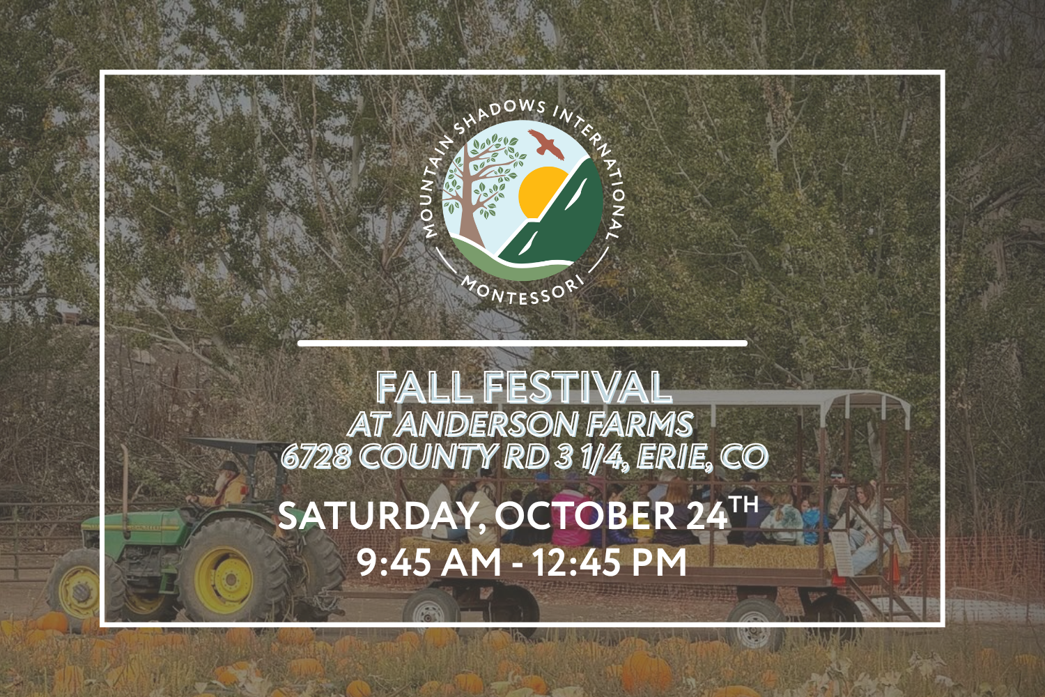 Fall Festival