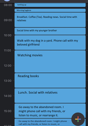 Screenshot of a daily schedule on a digital planner or app, listing activities from 9:00 AM to 3:00 PM, including breakfast, social activities, walking the dog, watching movies, reading books, and reorganizing an abandoned room.