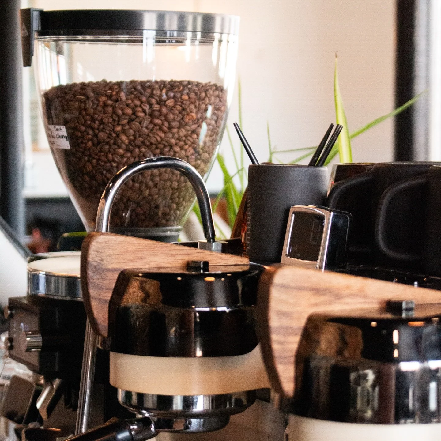 Quality starts long before the first shot is pulled.

We source our beans from @wildroastcoffeeco because quality matters &mdash; from the roast to the cup in your hands. Thoughtfully sourced. Expertly roasted. Carefully prepared.

You can taste the 