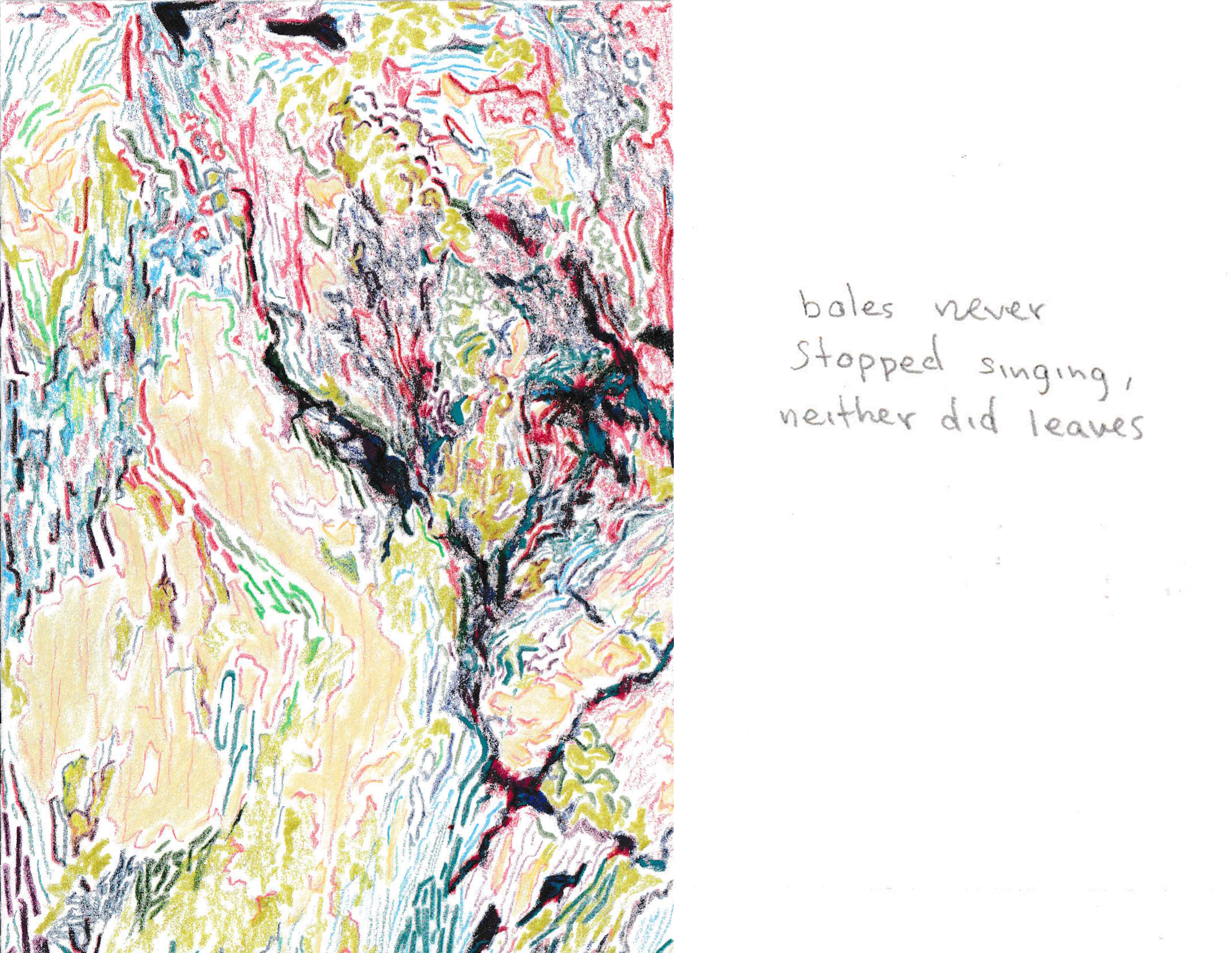 Fernanda Montes de Oca (@fermdot)
Mexico