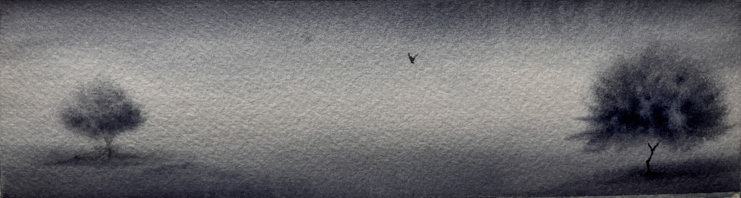 "With No Baggage"
Giovanna De Bartolo (@giobbinovolante)
Italy