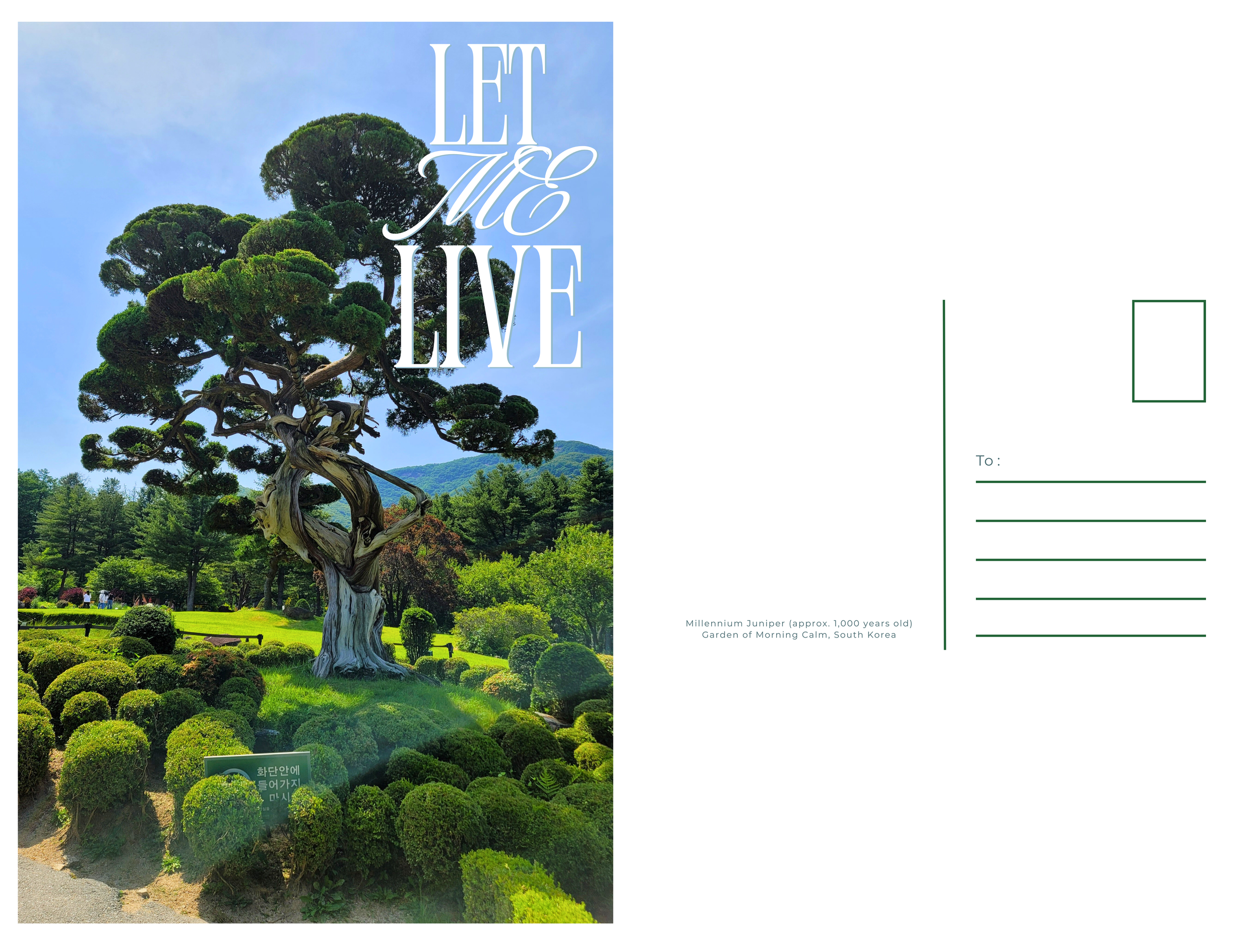"Let Me Live (2025)"
Rachel Desiree Felix (@racheldesiree)
Malaysia/Korea