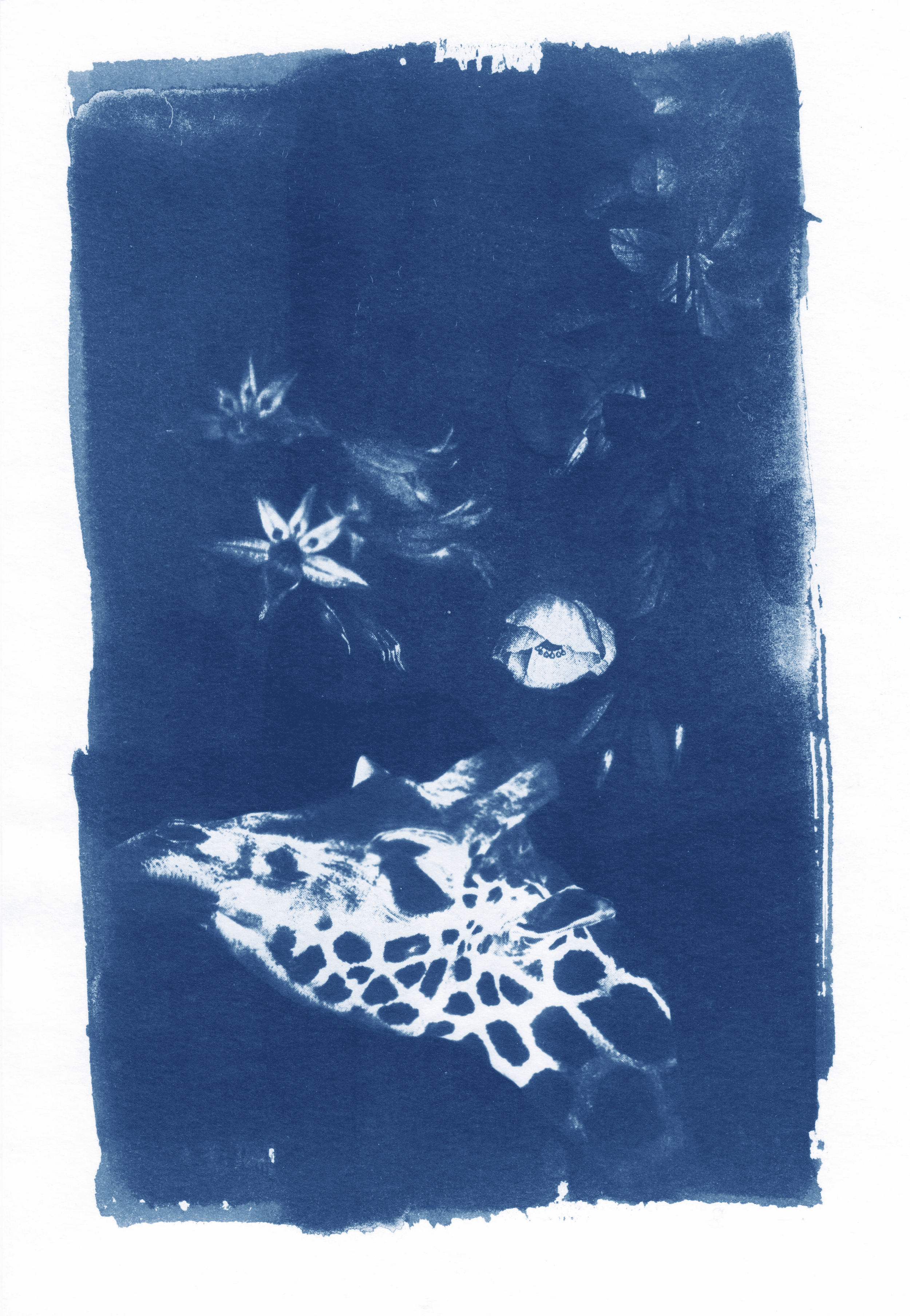 "Night-guest"
Maria Radyuk (@maria.radyuk)
Russia