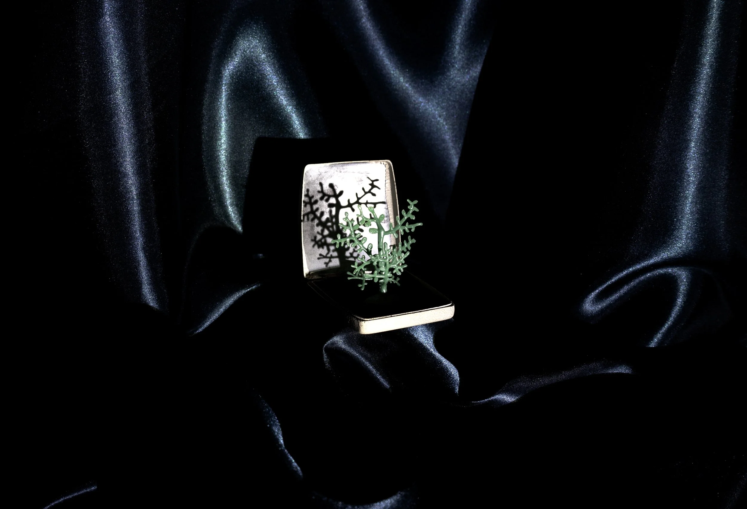 Clair Robins (@clairscollections / clair_r_photo)
Leicester, UK