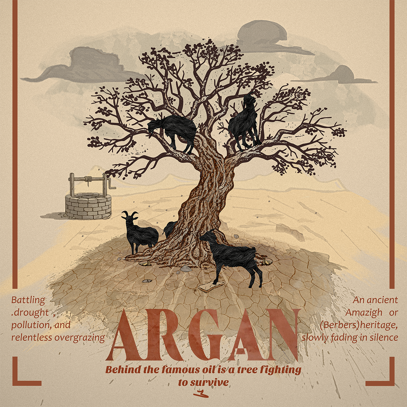 Noureddine Asri
Agadir, Morocco