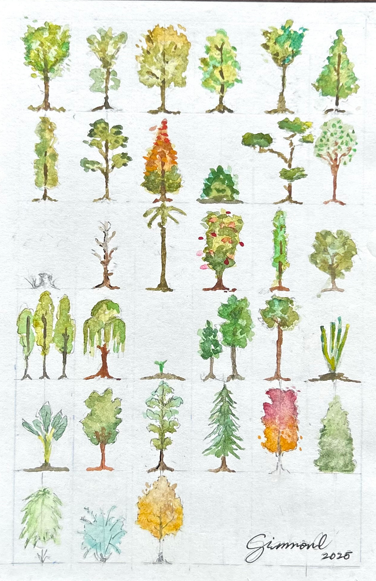 "Trees, Hedges and Shrubs"
Simone Barja
Philippines