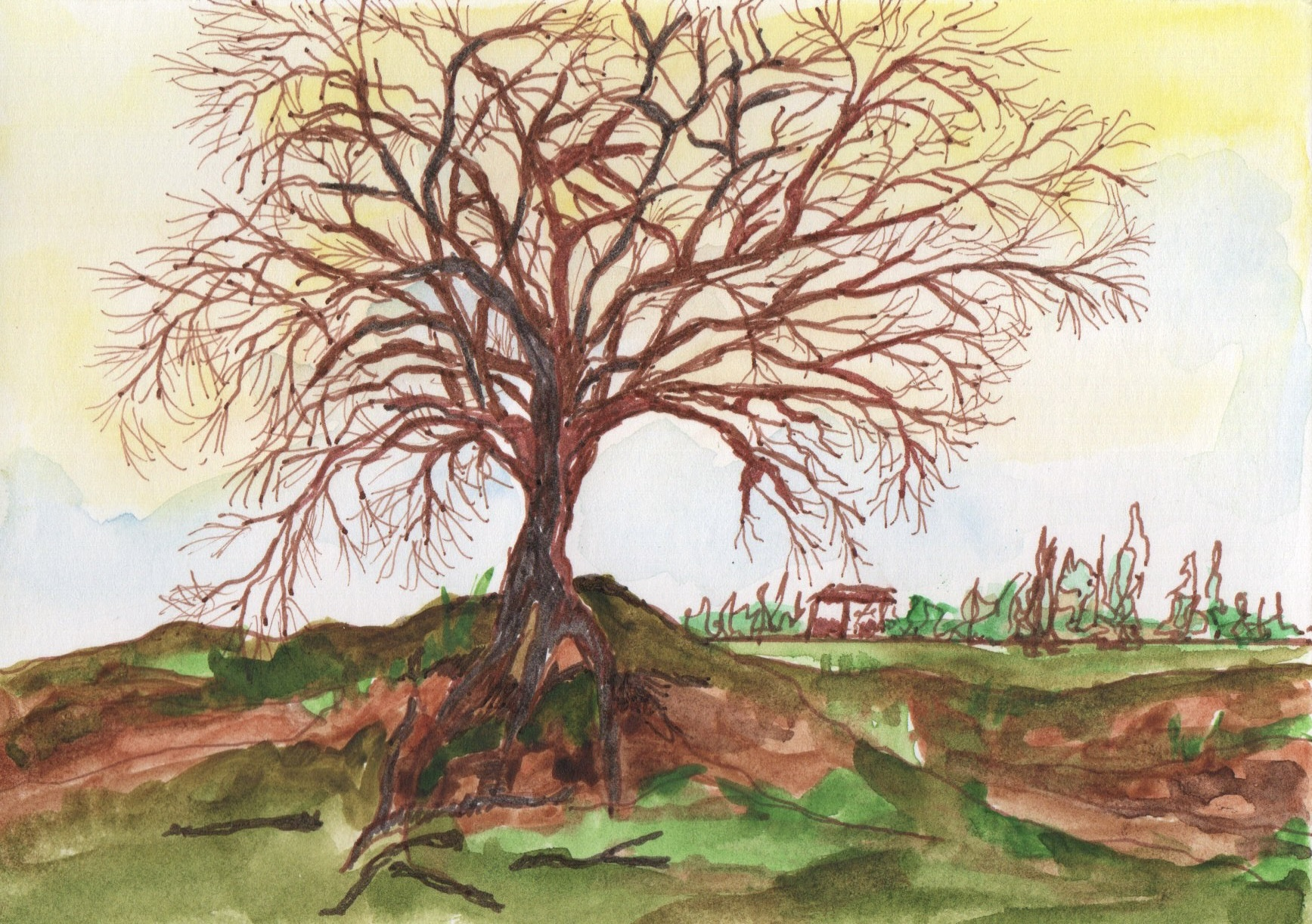 "A lonely tree"
Susanne Nagel (@nolle500)
Germany
