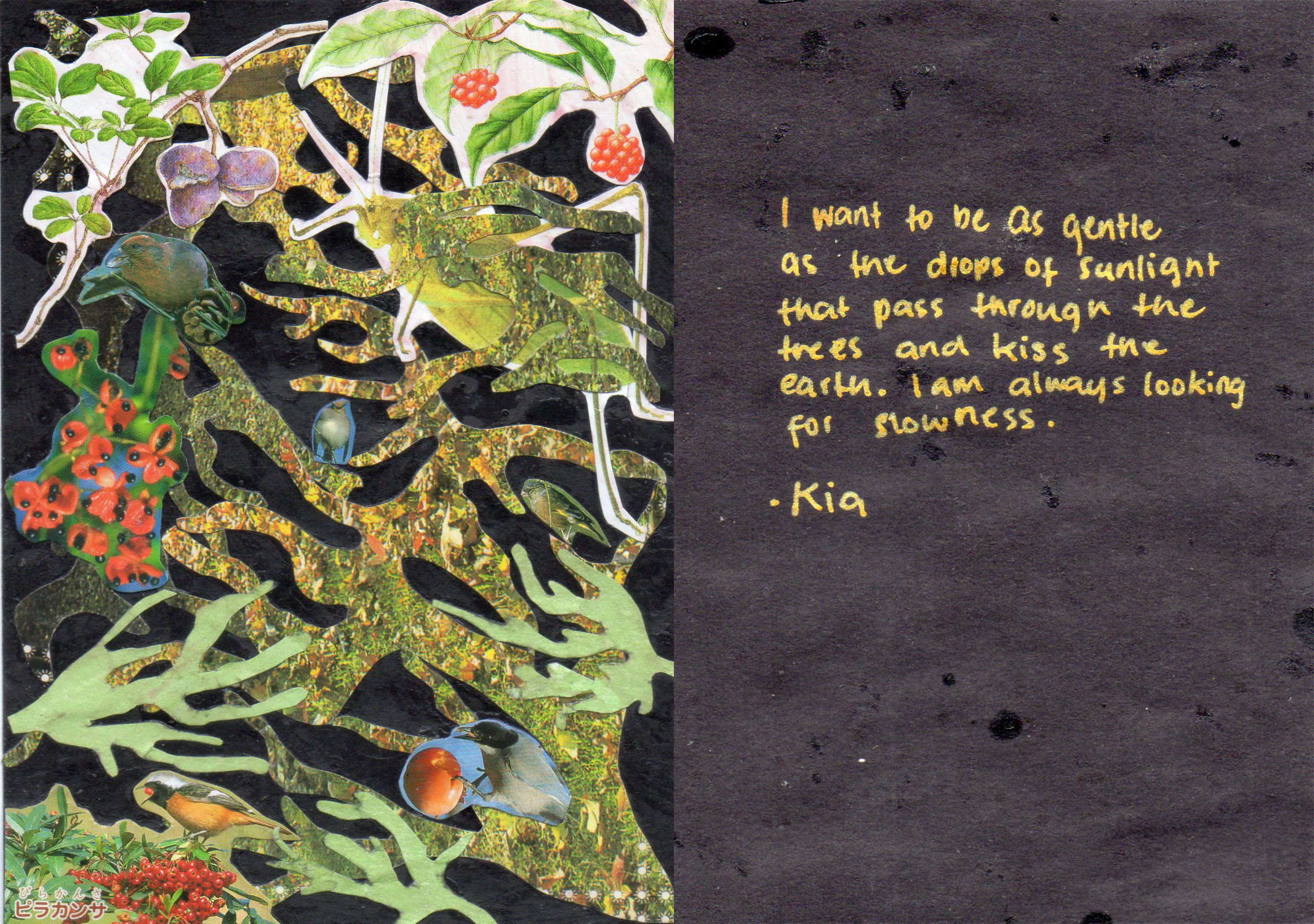 Kiara Sombito (@kiiachow)
Dumaguete City, Negros Oriental 