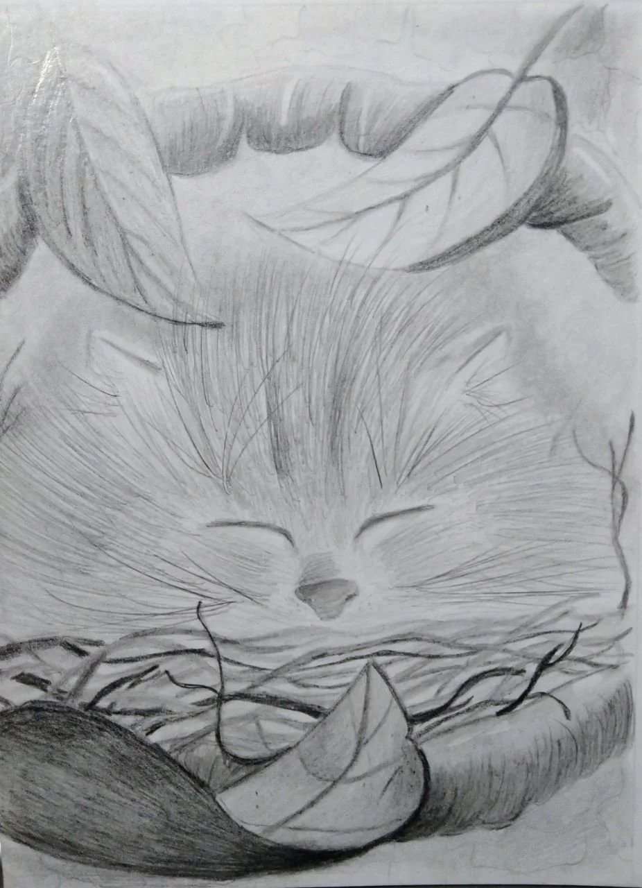 Victoriya Larchenko (@arvickie.smartenglish)
Ukraine