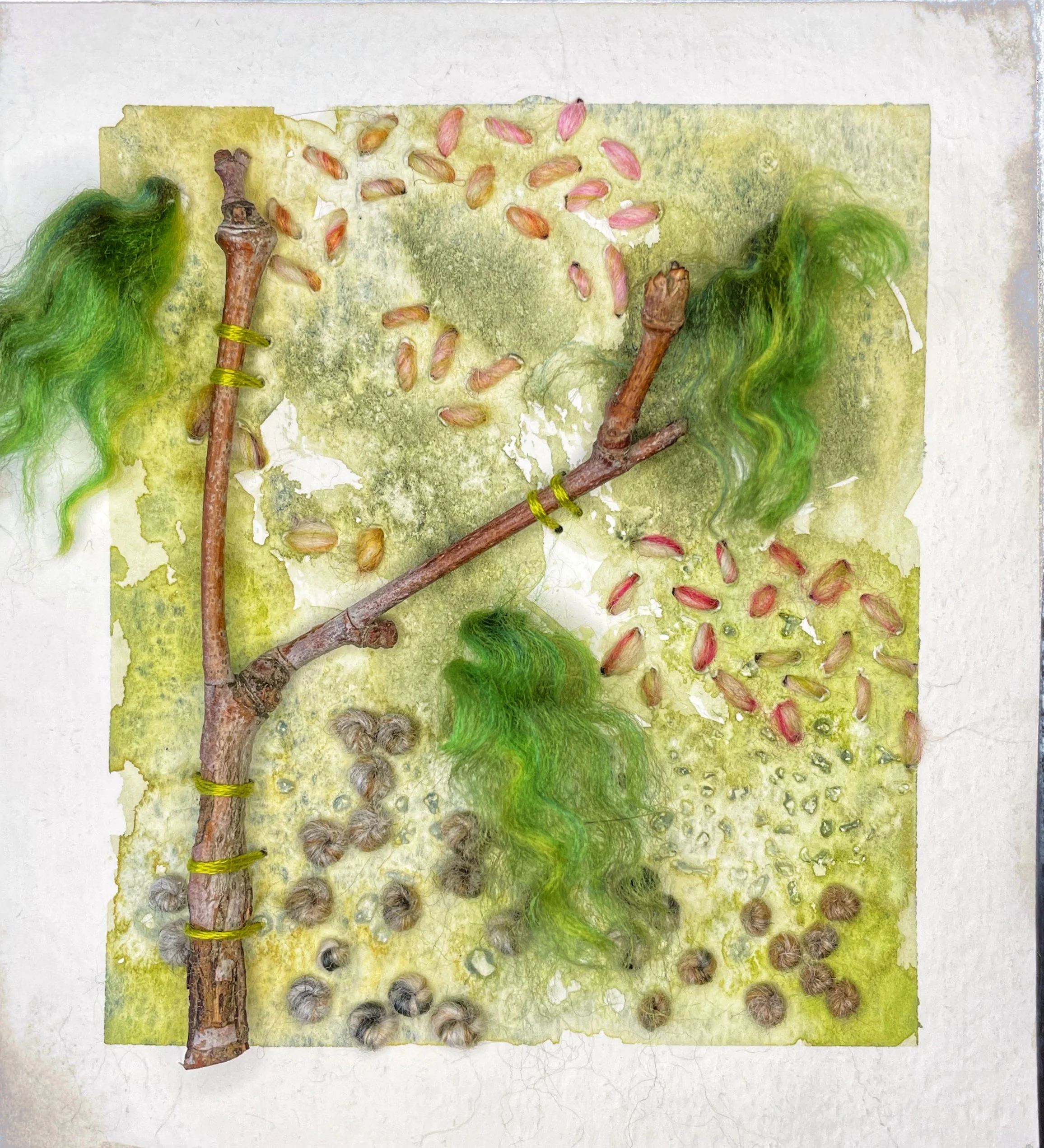 "Forêt des Soignes II"
Lara Coutinho