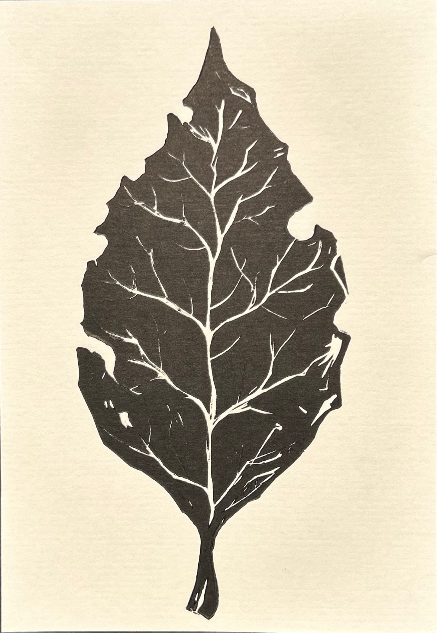 "Last Leaf"
Renato Barja Jr.
Philippines