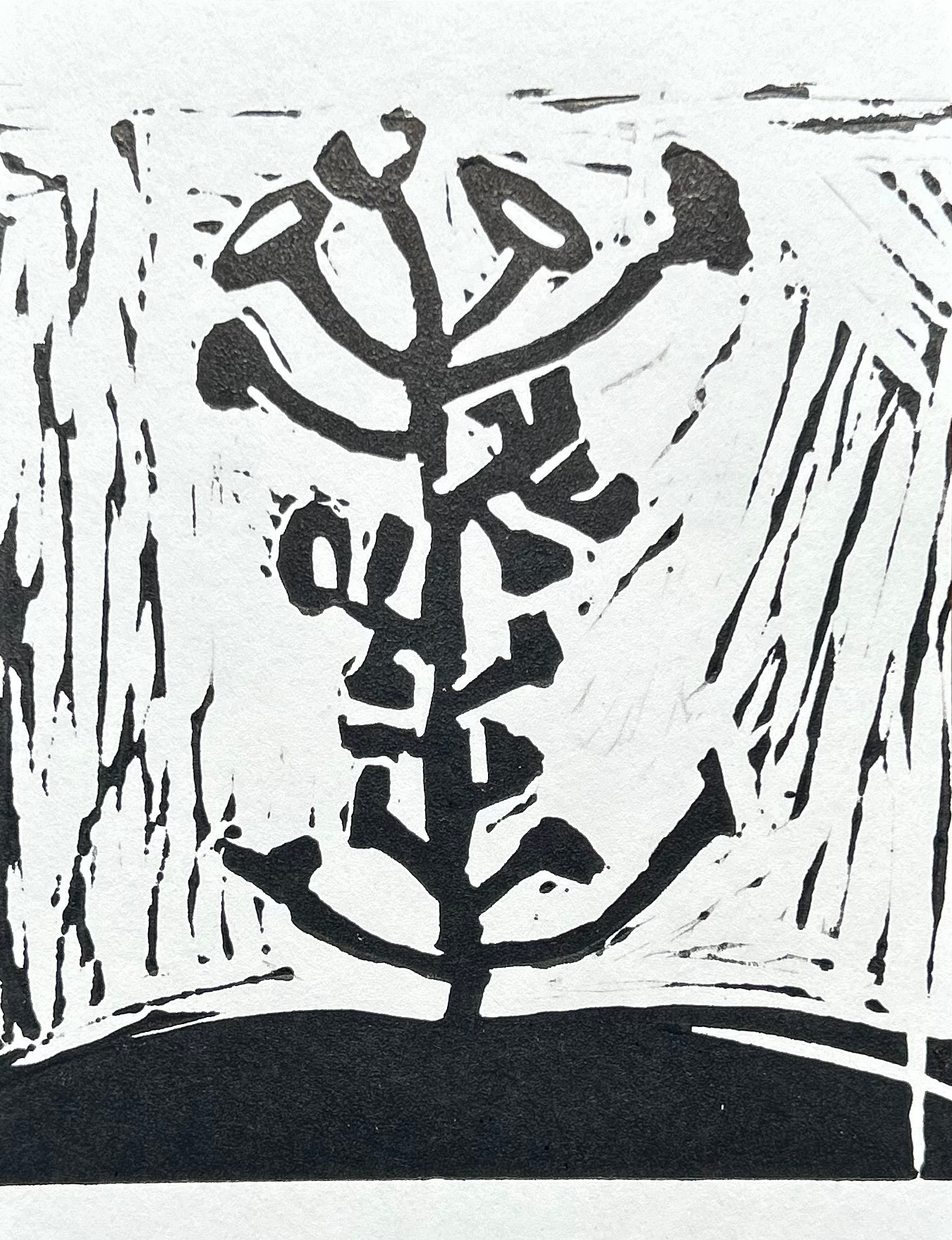 Imaginary Soil
Umber Gray Barja
Philippines