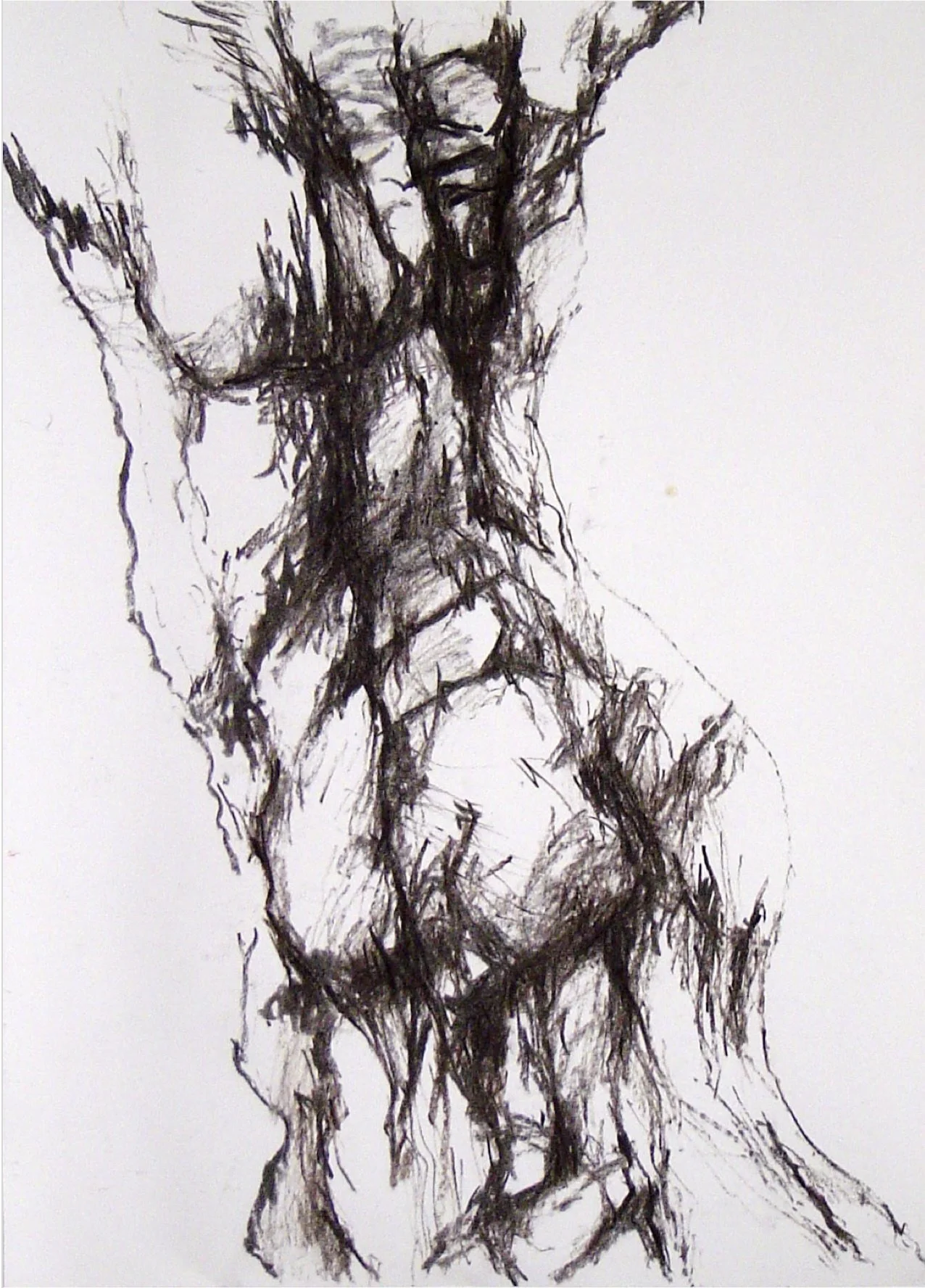 Katja Bröskamp (@katjabroeskamp )
Berlin, Germany