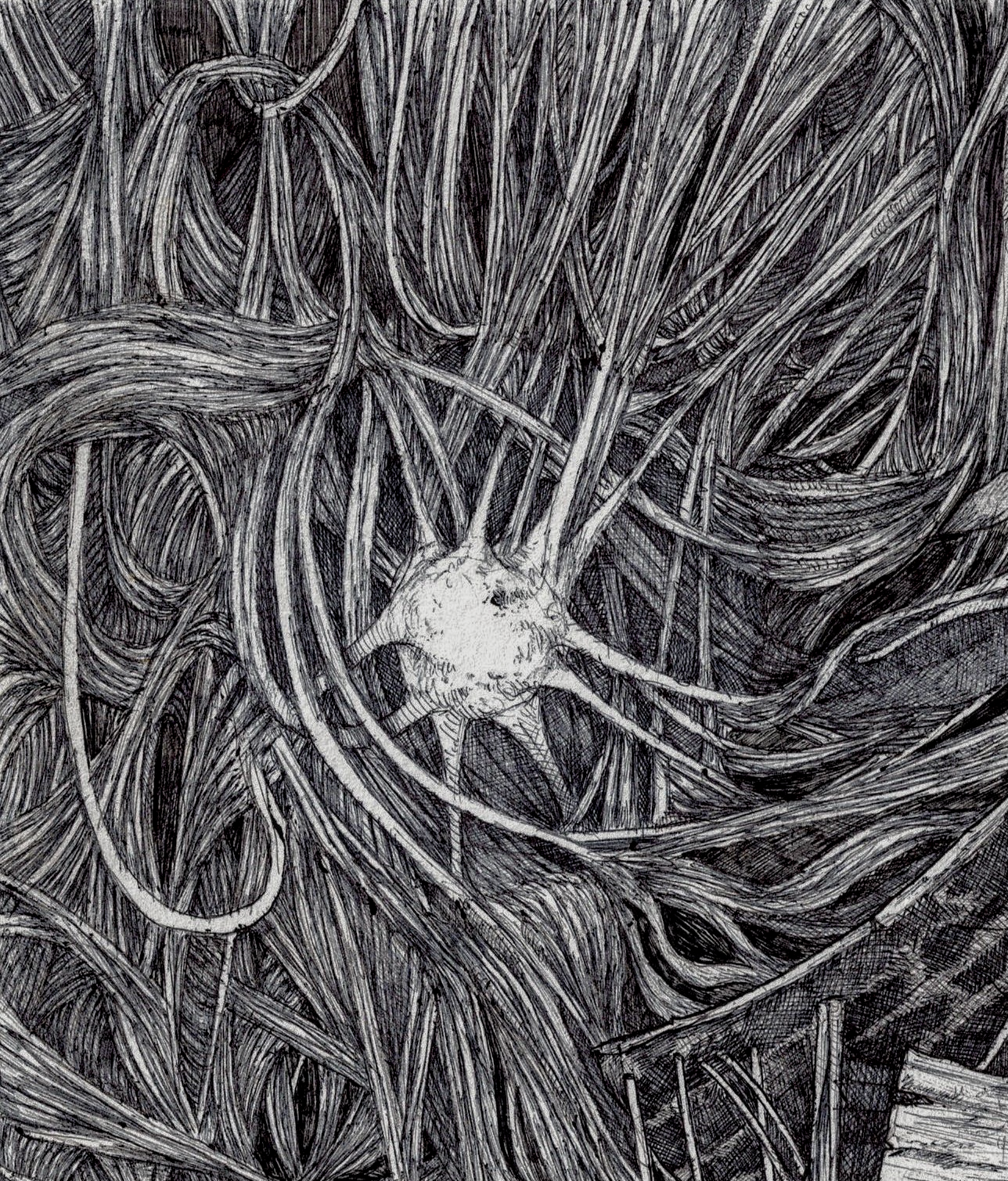 Aldous Reyes
Philippines