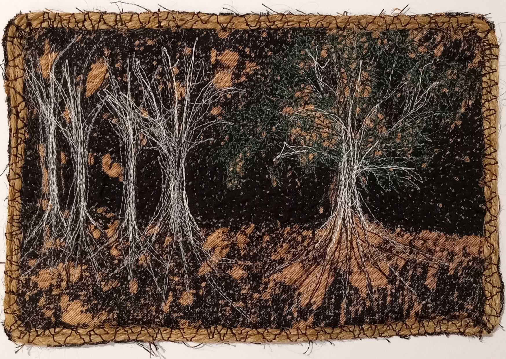 "Rooted in Scorched Earth, Rising"
Candice van Eck (@candz_explorer.creative)
South Africa