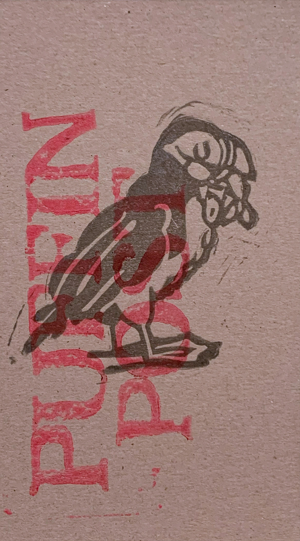 "Puffin Post"
Katrin Hauf (@ofilia_skizzenbuch)
Germany