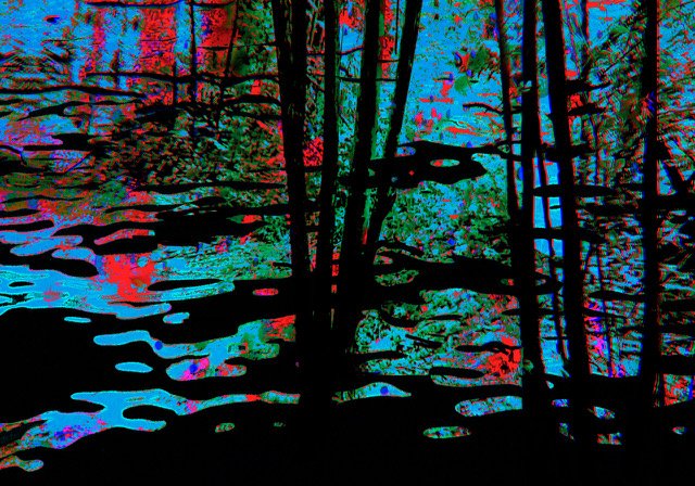 "Jour de lumière"
Philippe Fabian
France