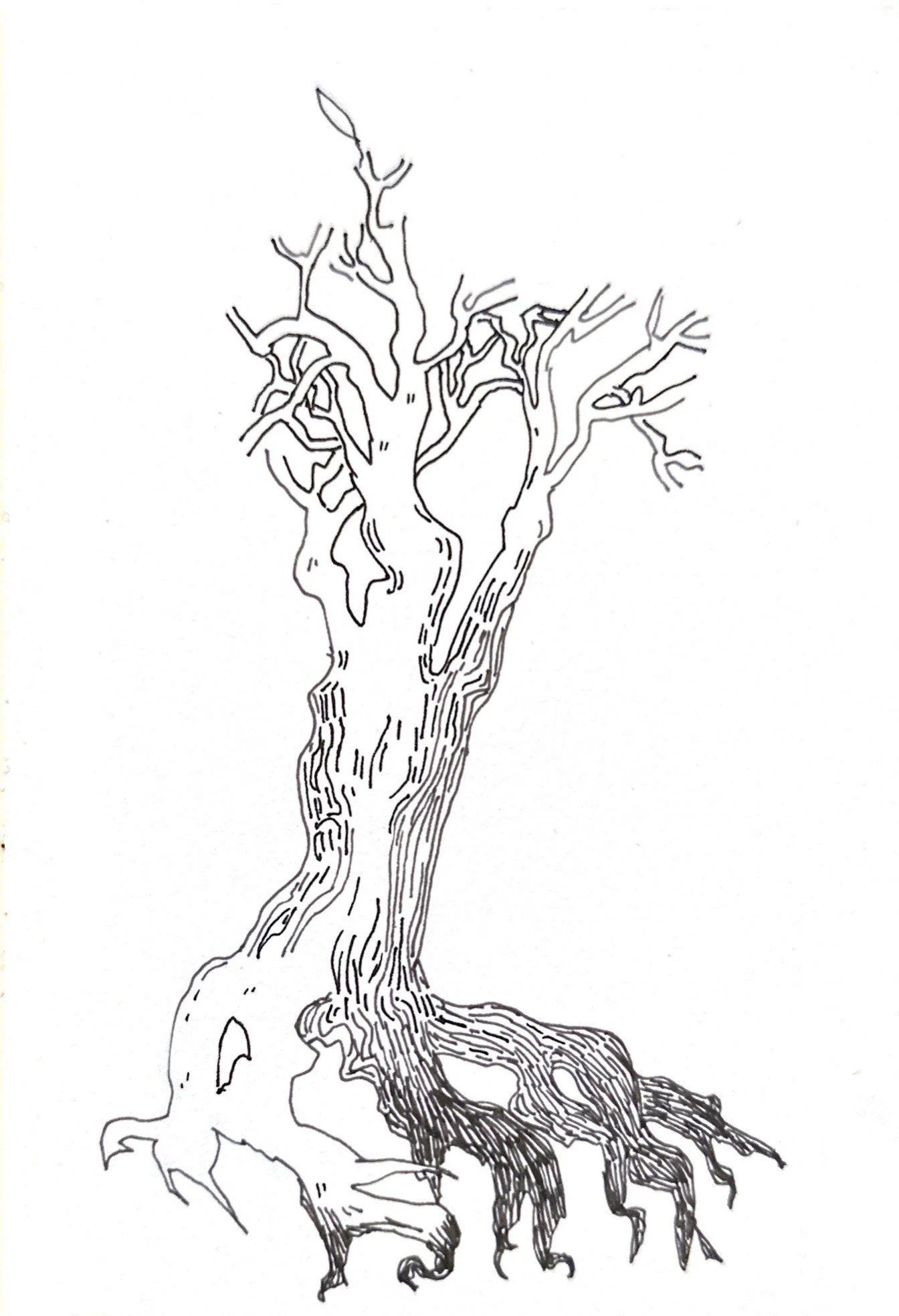 Liina Eva Teesalu
Estonia