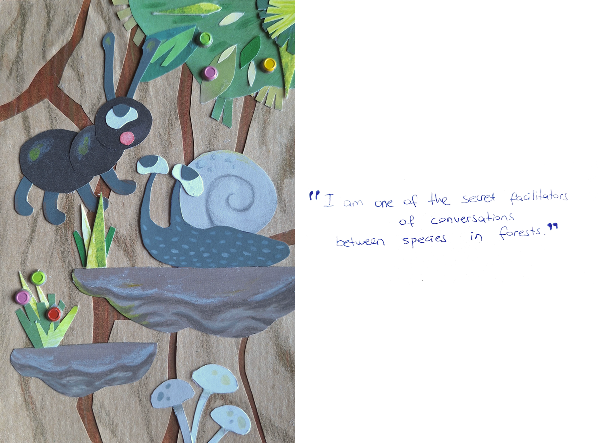 Duru Erdem
Turkey, based in Milan