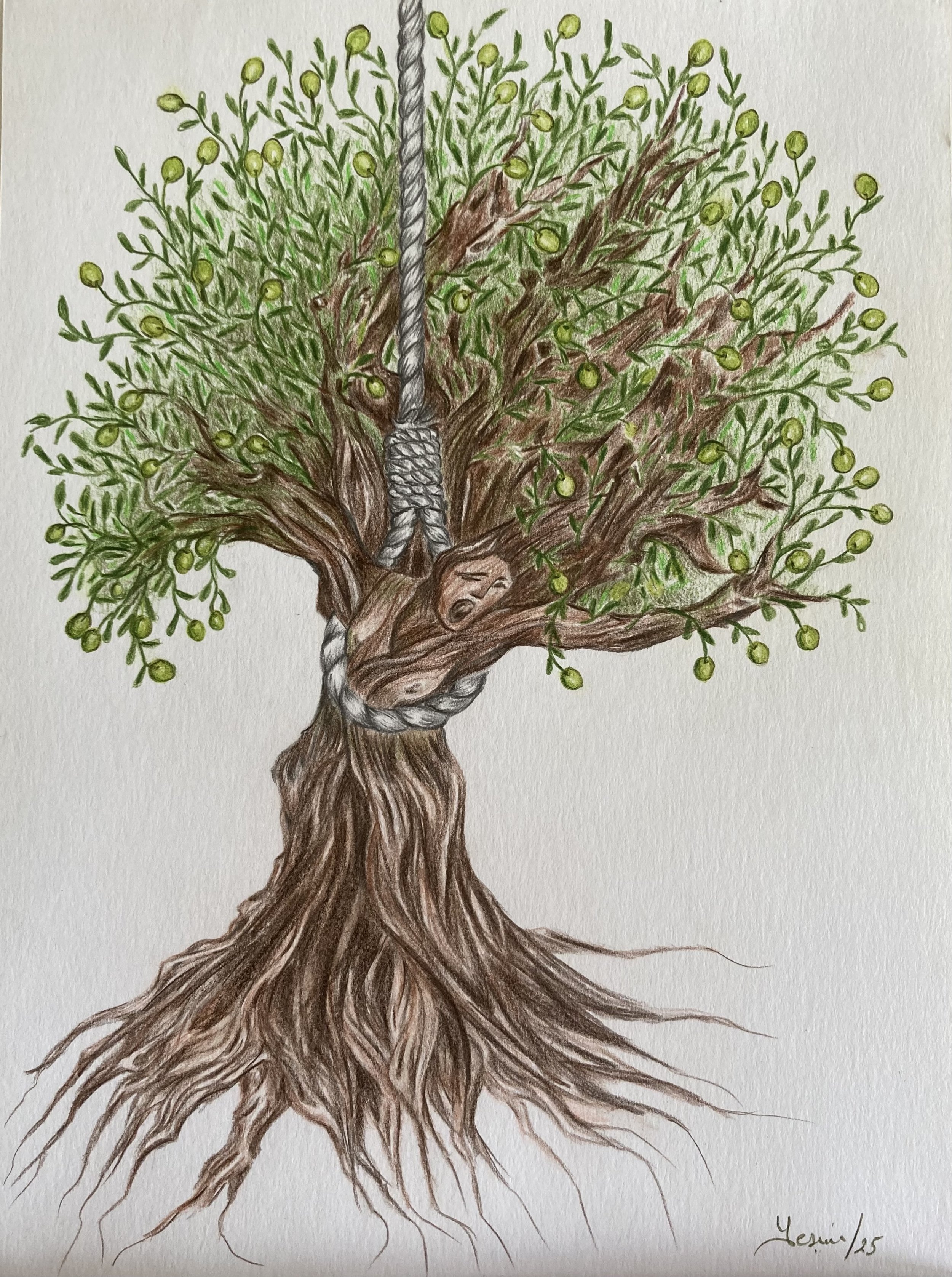 "Don't touch my Olive Tree"
Yesim Tetik
Turkey