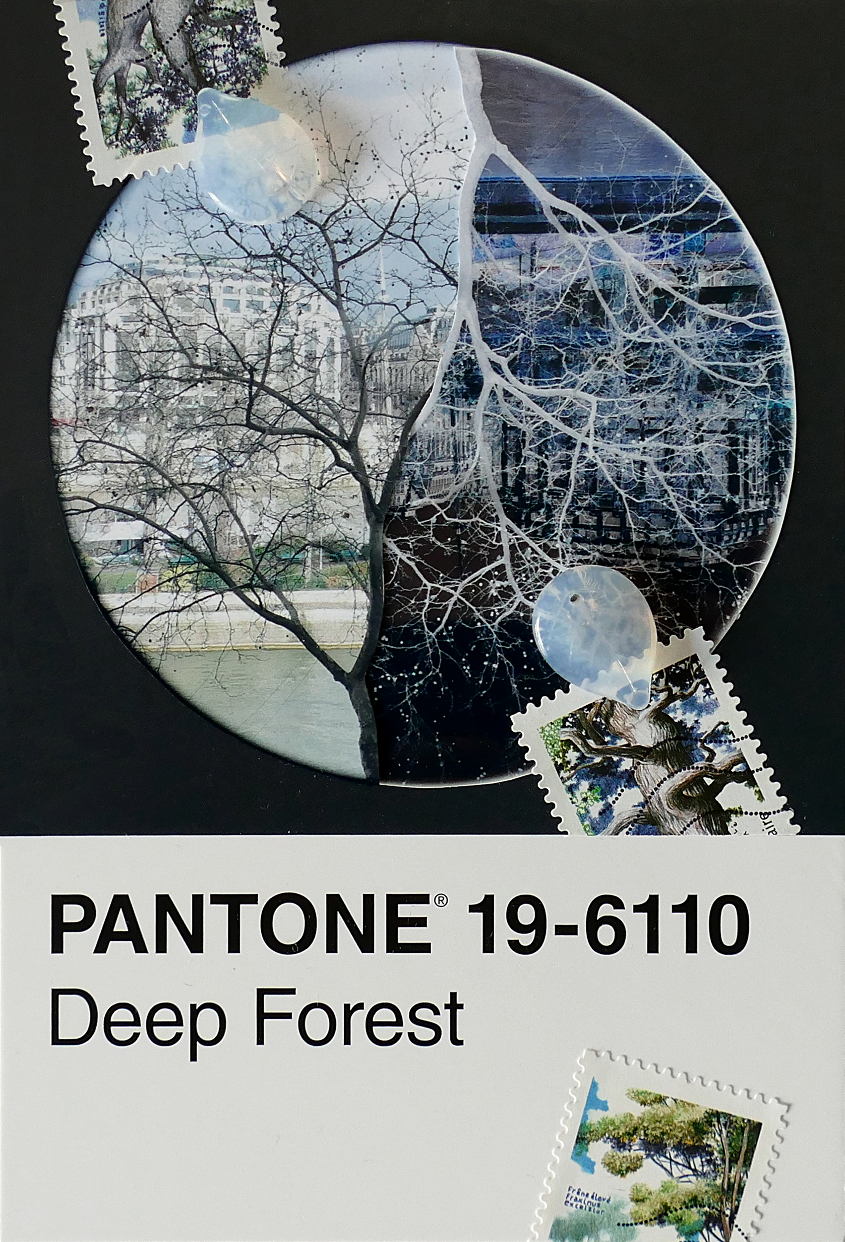 "un arbre dans la ville"
Béatrice Caunois
France